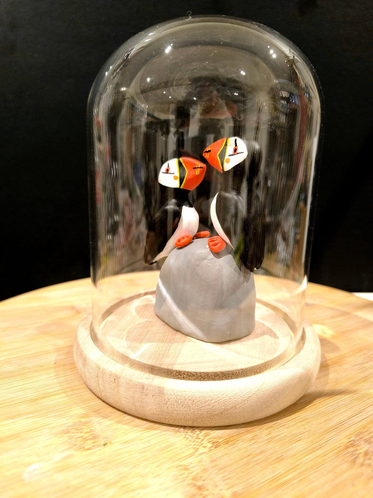 Couple de Macareux moine sous cloche de verre, façon cabinet de curiosité