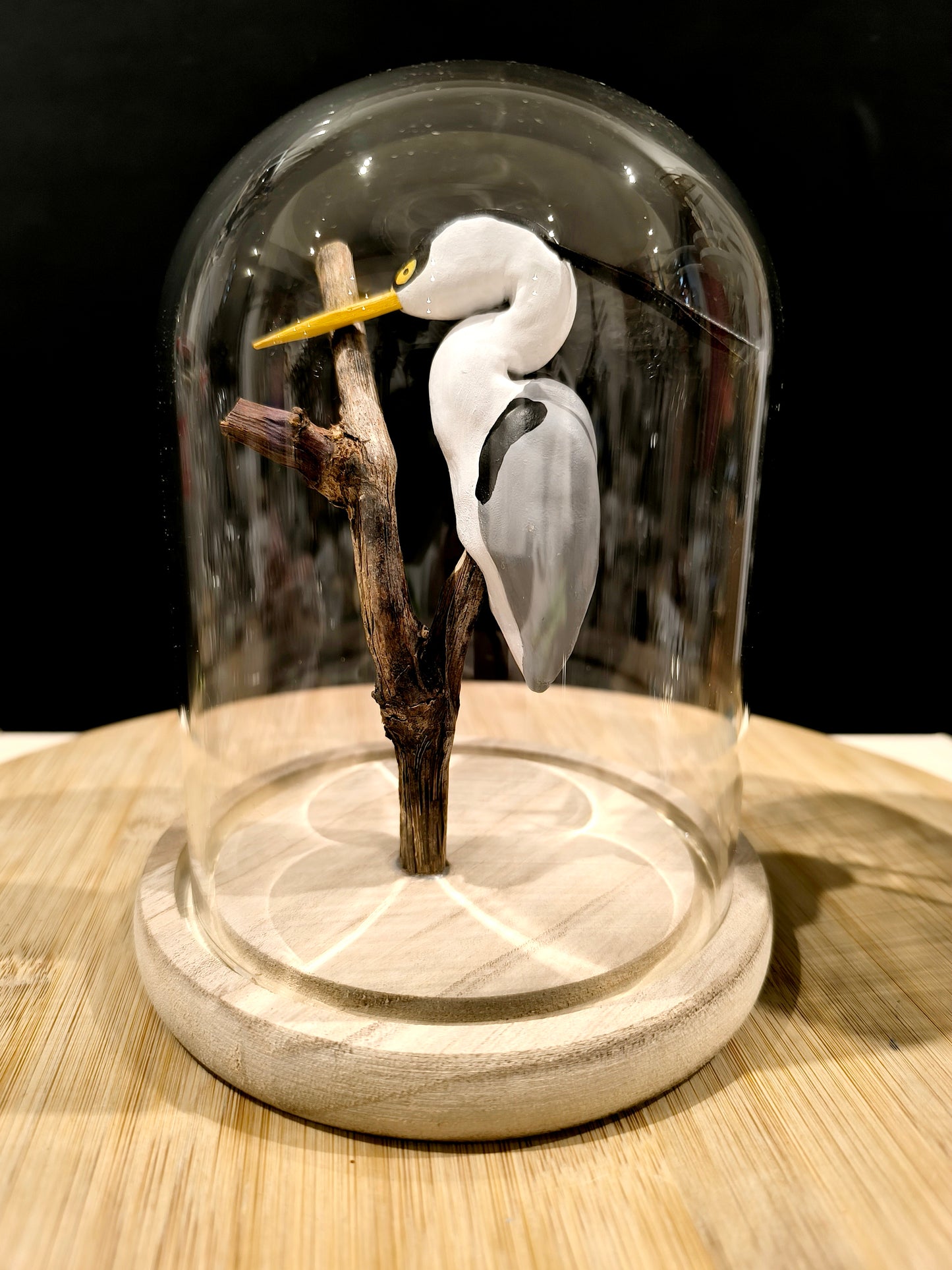 GREY HERON under a glass bell jar, "curiosity cabinet" style