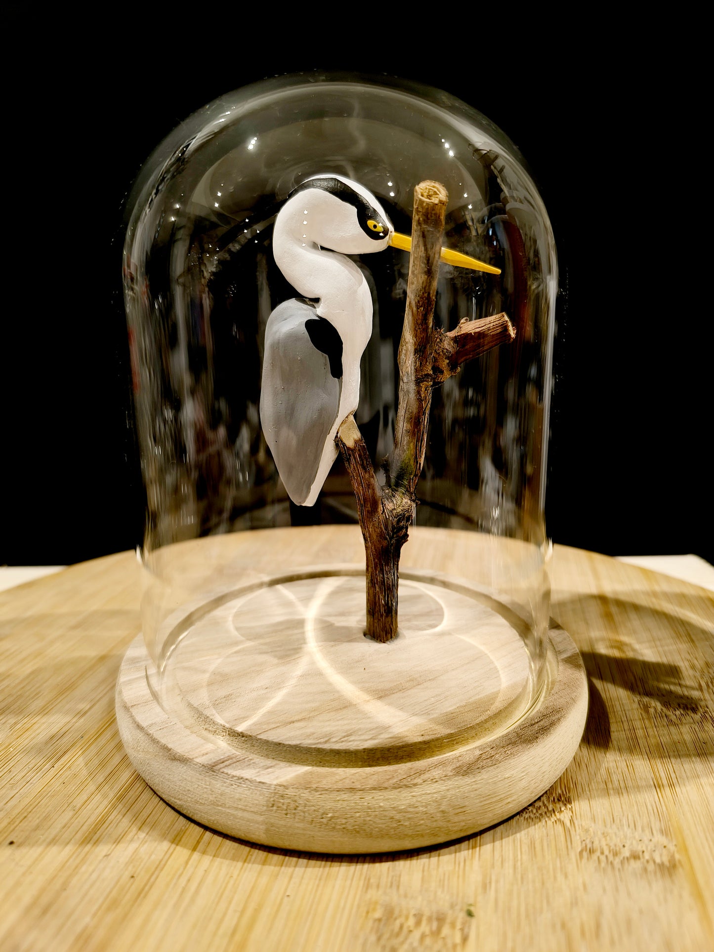 Héron cendré sous cloche de verre façon cabinet de curiosité