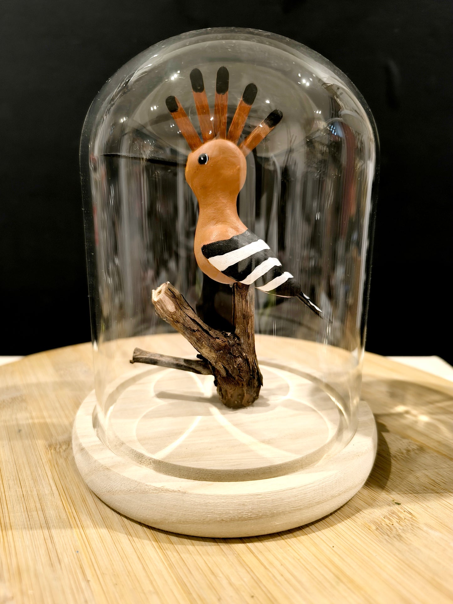 HUPPE FASCIEE Sous cloche de verre, façon "cabinet de curiosité"