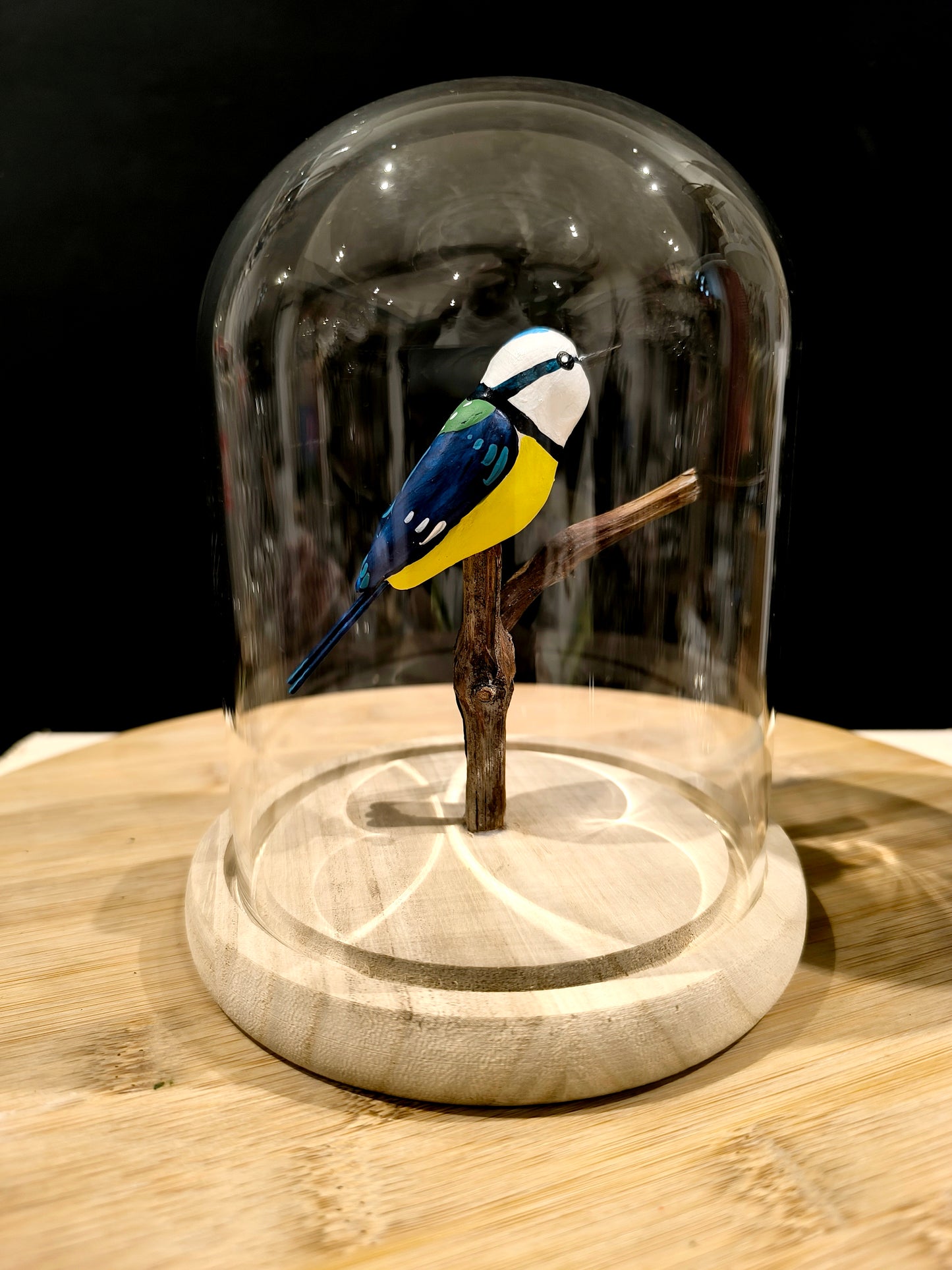 MESANGE BLEUE sous cloche de verre façon "Cabinet de curiosité"
