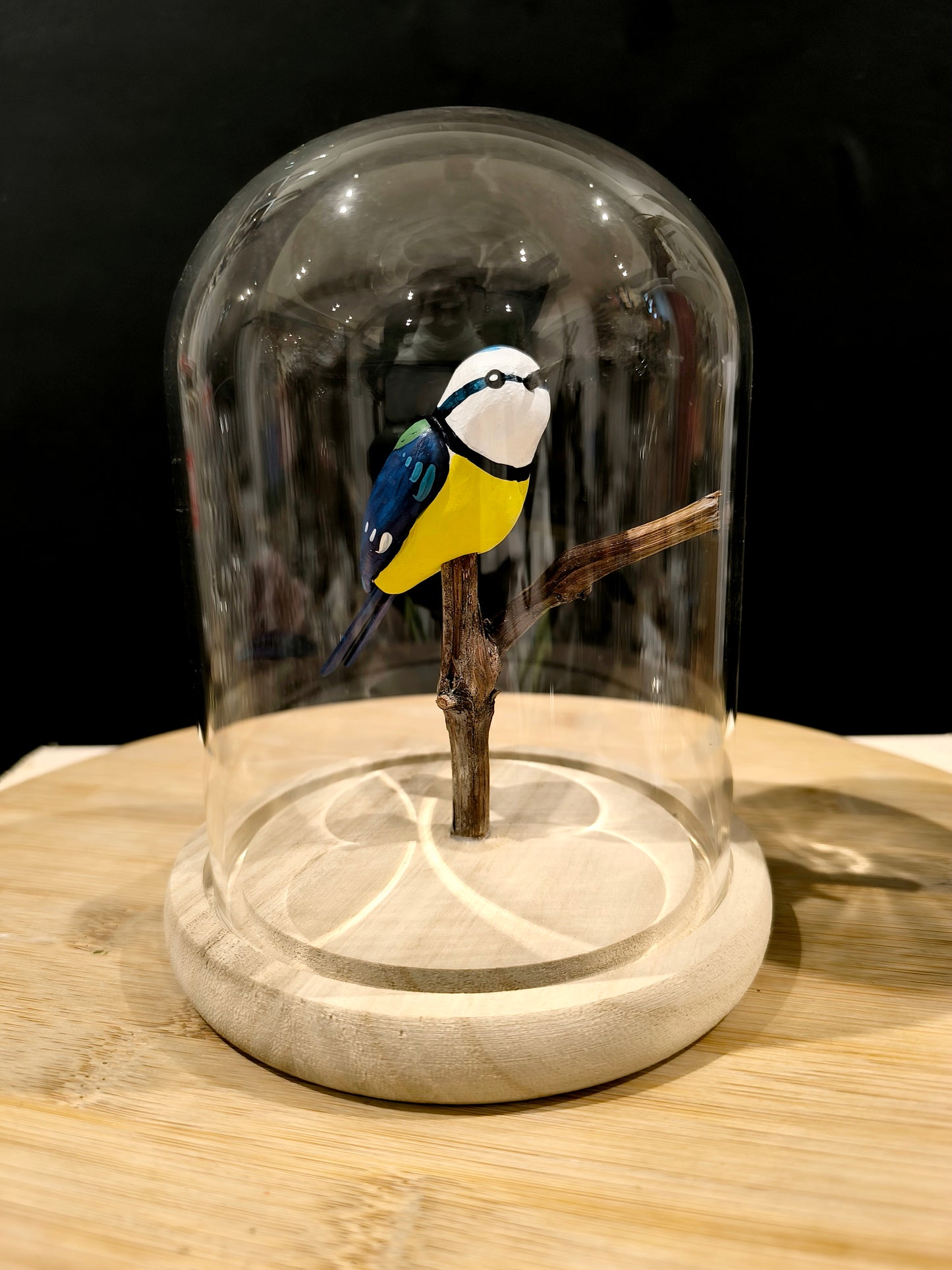 MESANGE BLEUE sous cloche de verre façon "Cabinet de curiosité"