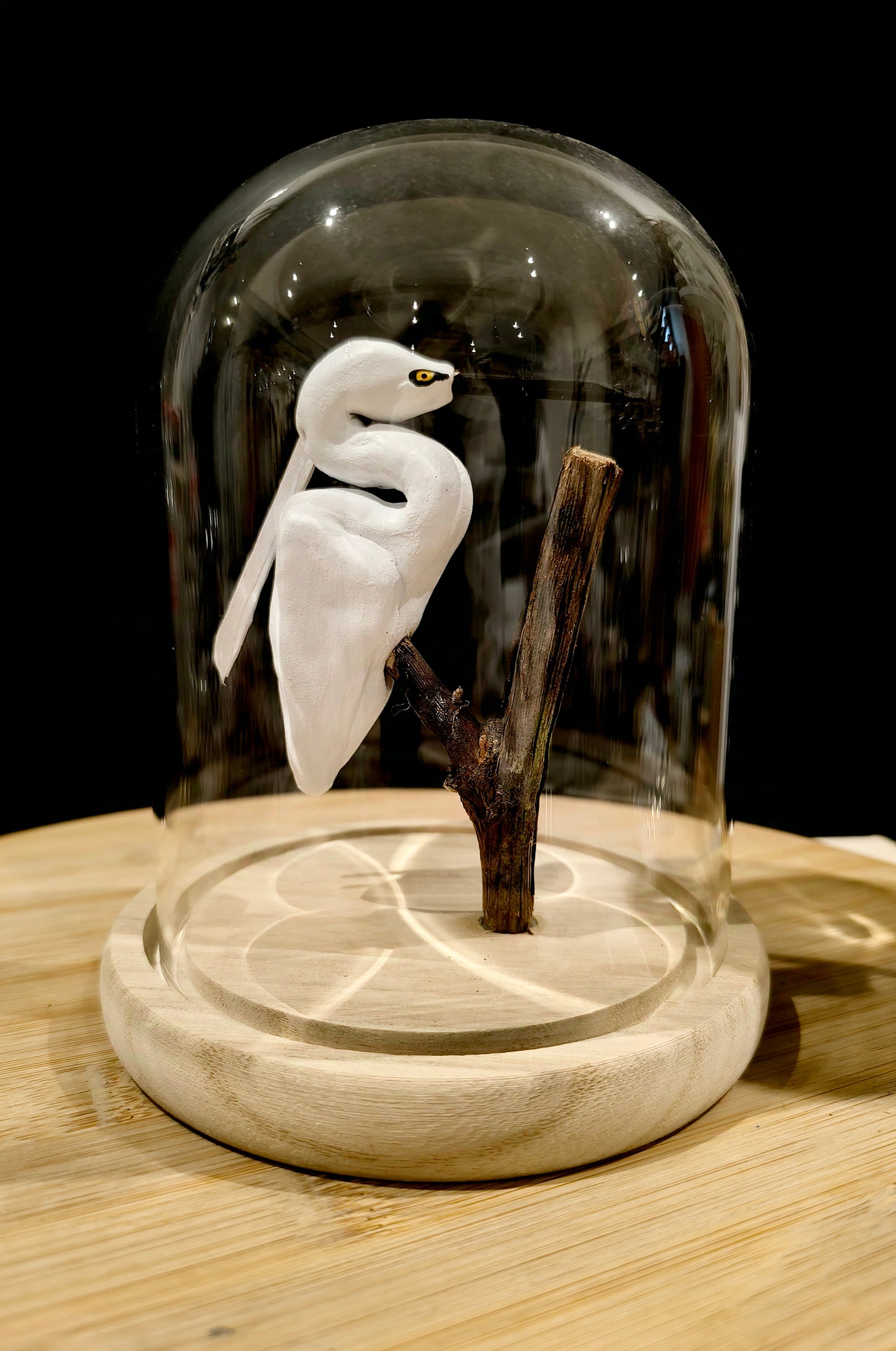 LITTLE EGRET under glass bell jar, "Cabinet of Curiosities" style