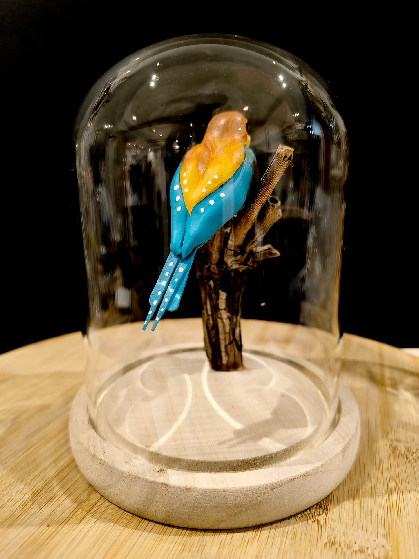 GUEPIER D'EUROPE sous cloche de verre, façon cabinet de curiosité