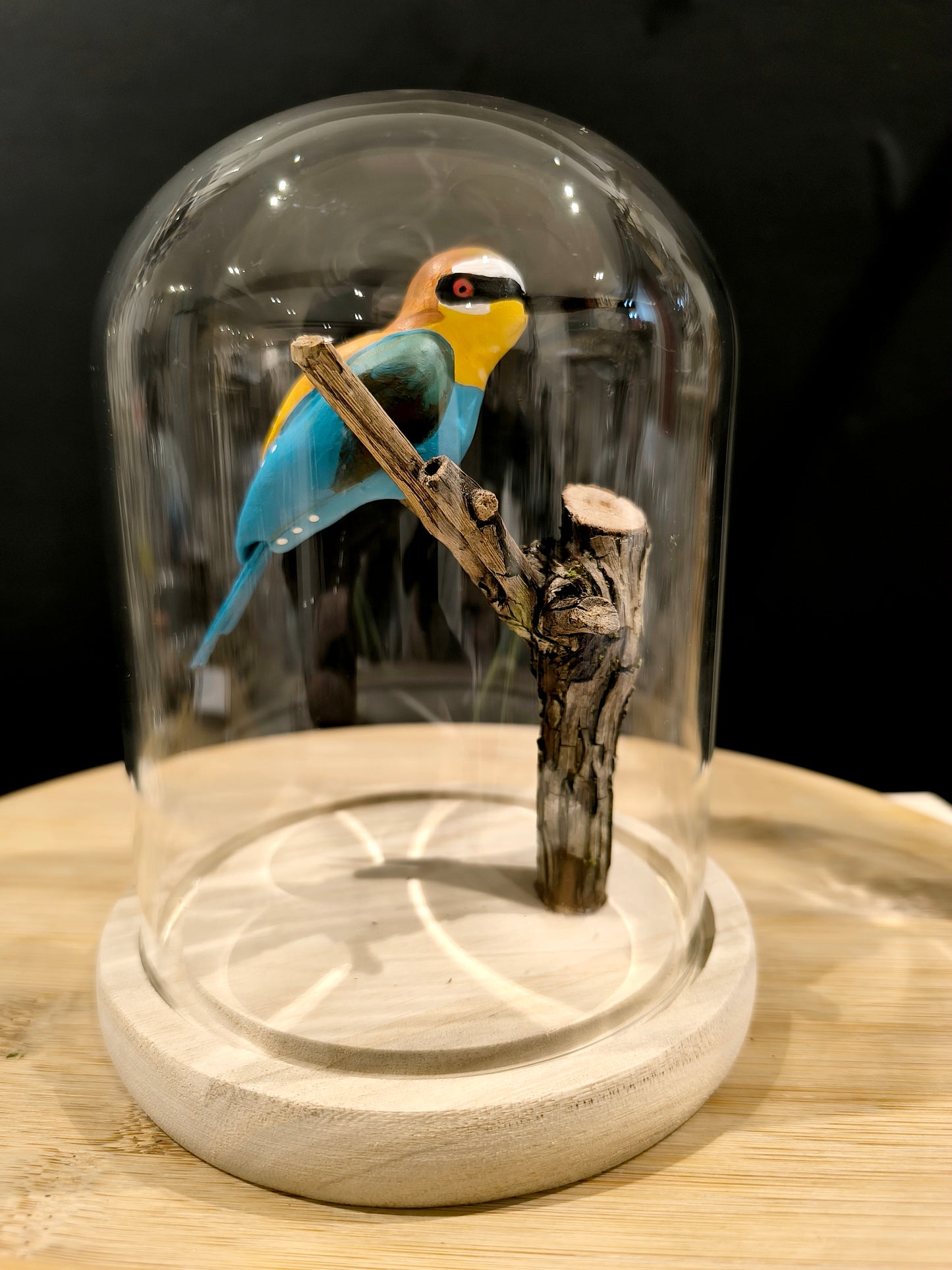 GUEPIER D'EUROPE sous cloche de verre, façon cabinet de curiosité