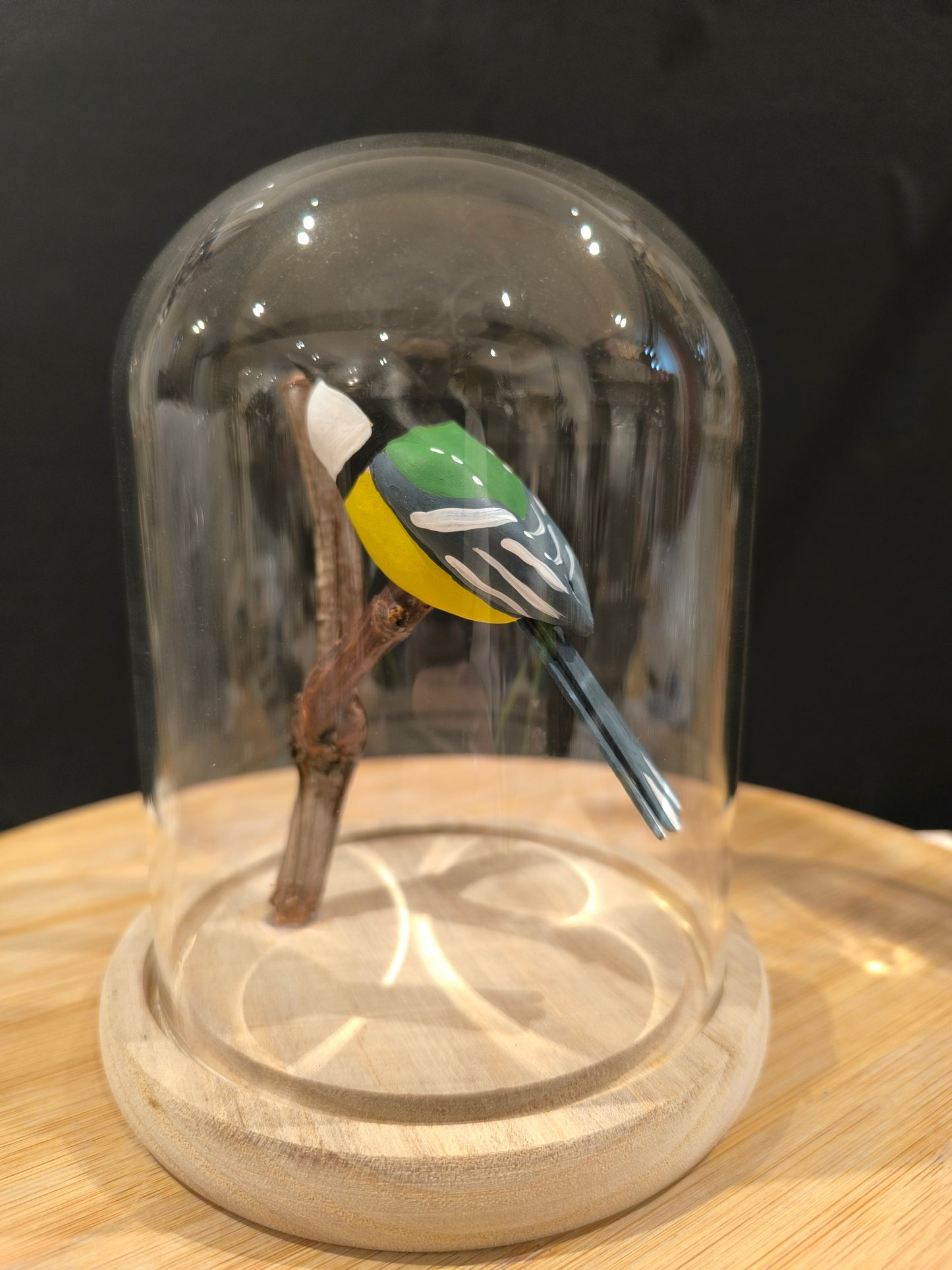 MESANGE CHARBONNIERE sous cloche de verre façon "Cabinet de curiosité"