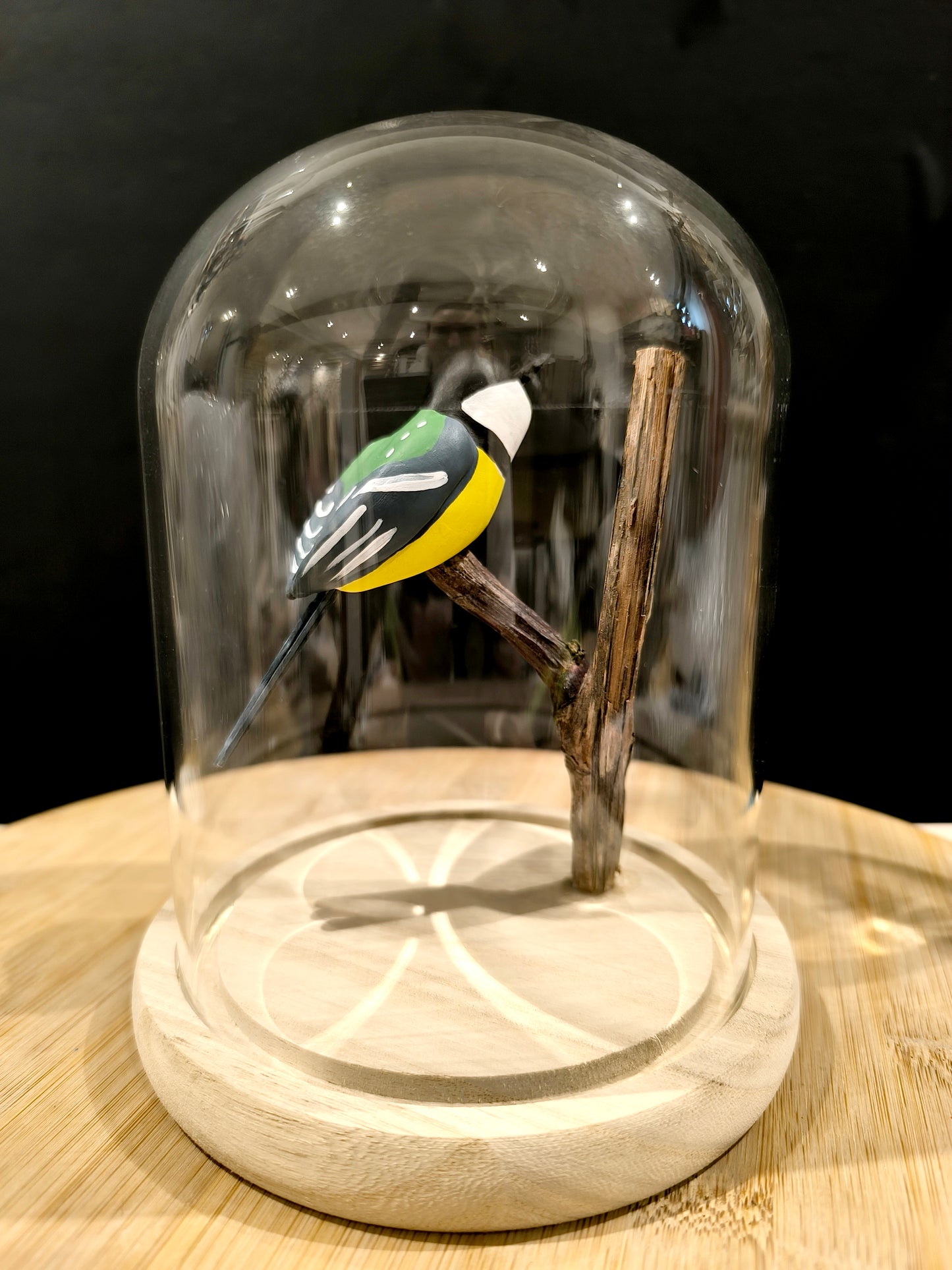 MESANGE CHARBONNIERE sous cloche de verre façon "Cabinet de curiosité"