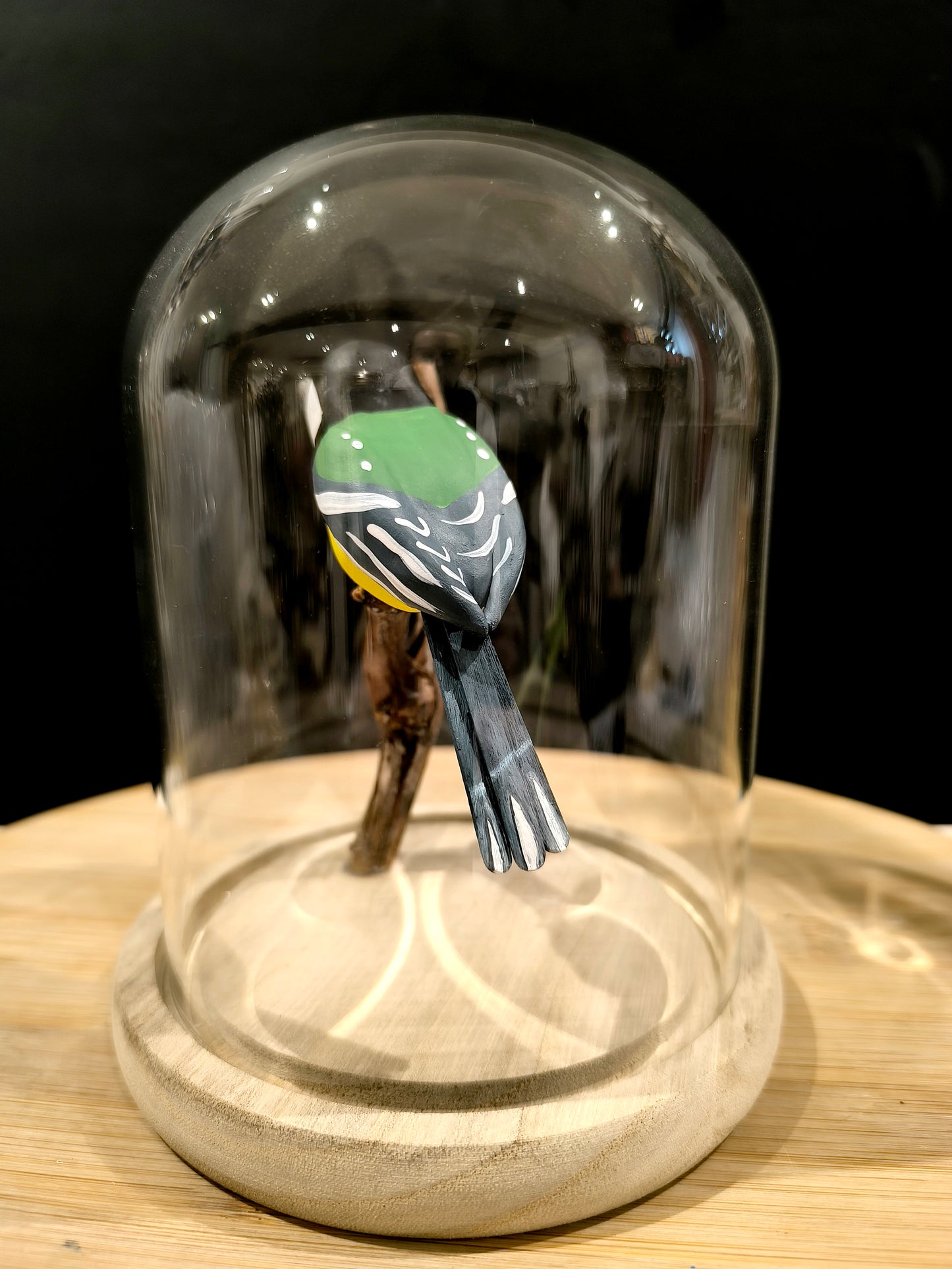 MESANGE CHARBONNIERE sous cloche de verre façon "Cabinet de curiosité"