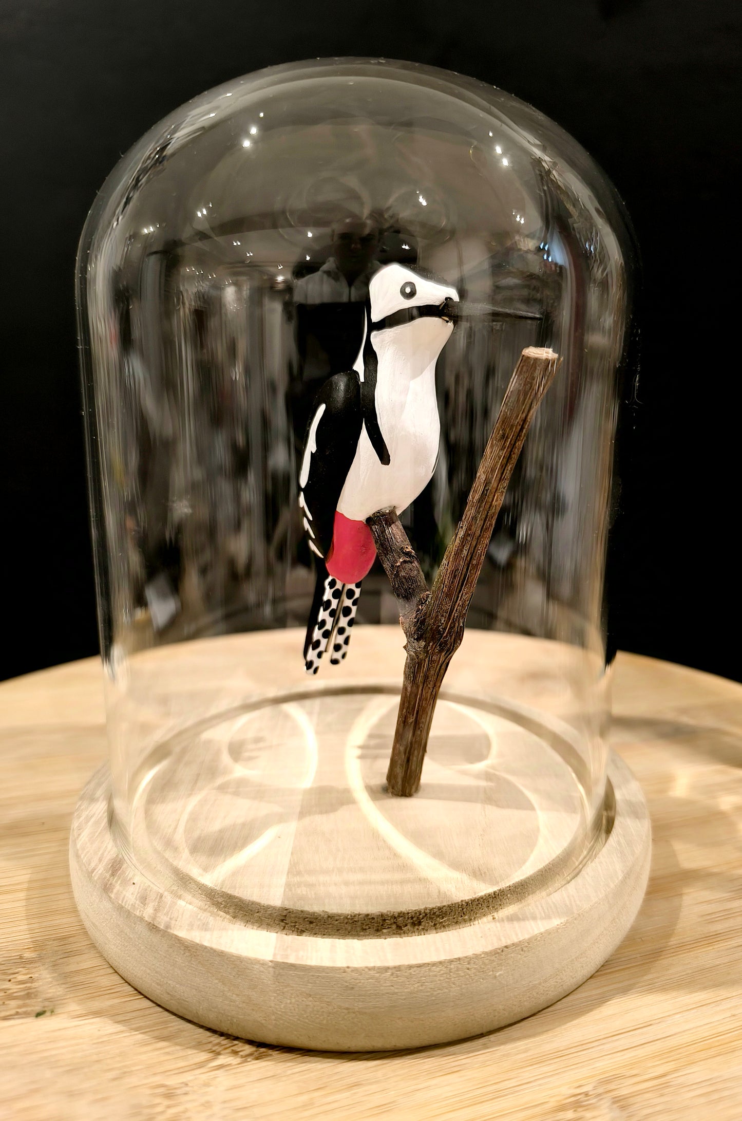 PIC EPEICHE sous cloche de verre façon "cabinet de curiosité"