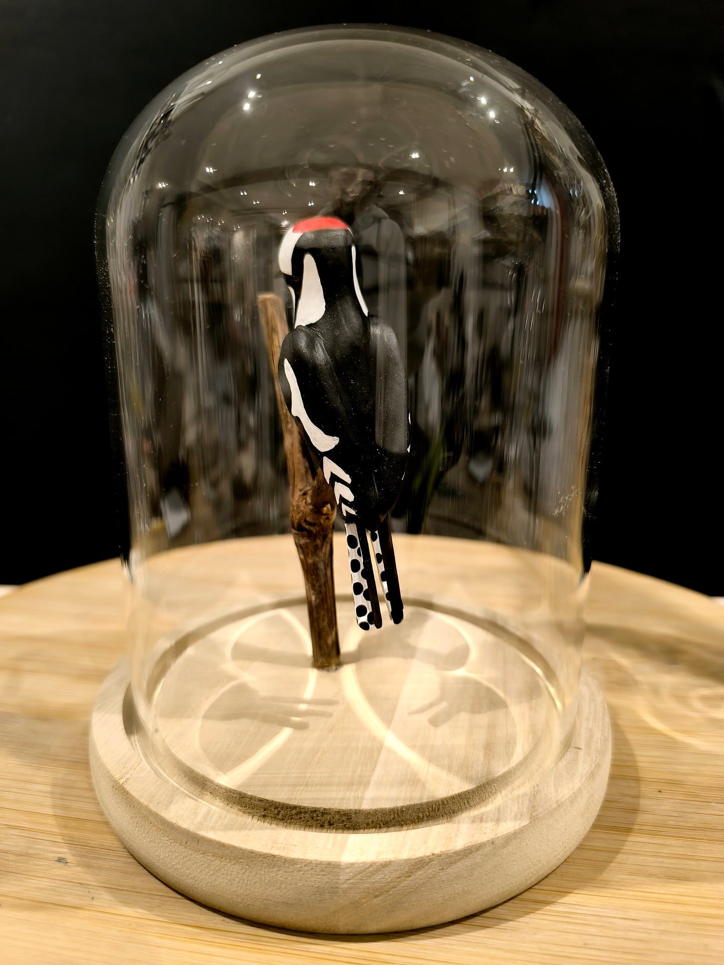 PIC EPEICHE sous cloche de verre façon "cabinet de curiosité"