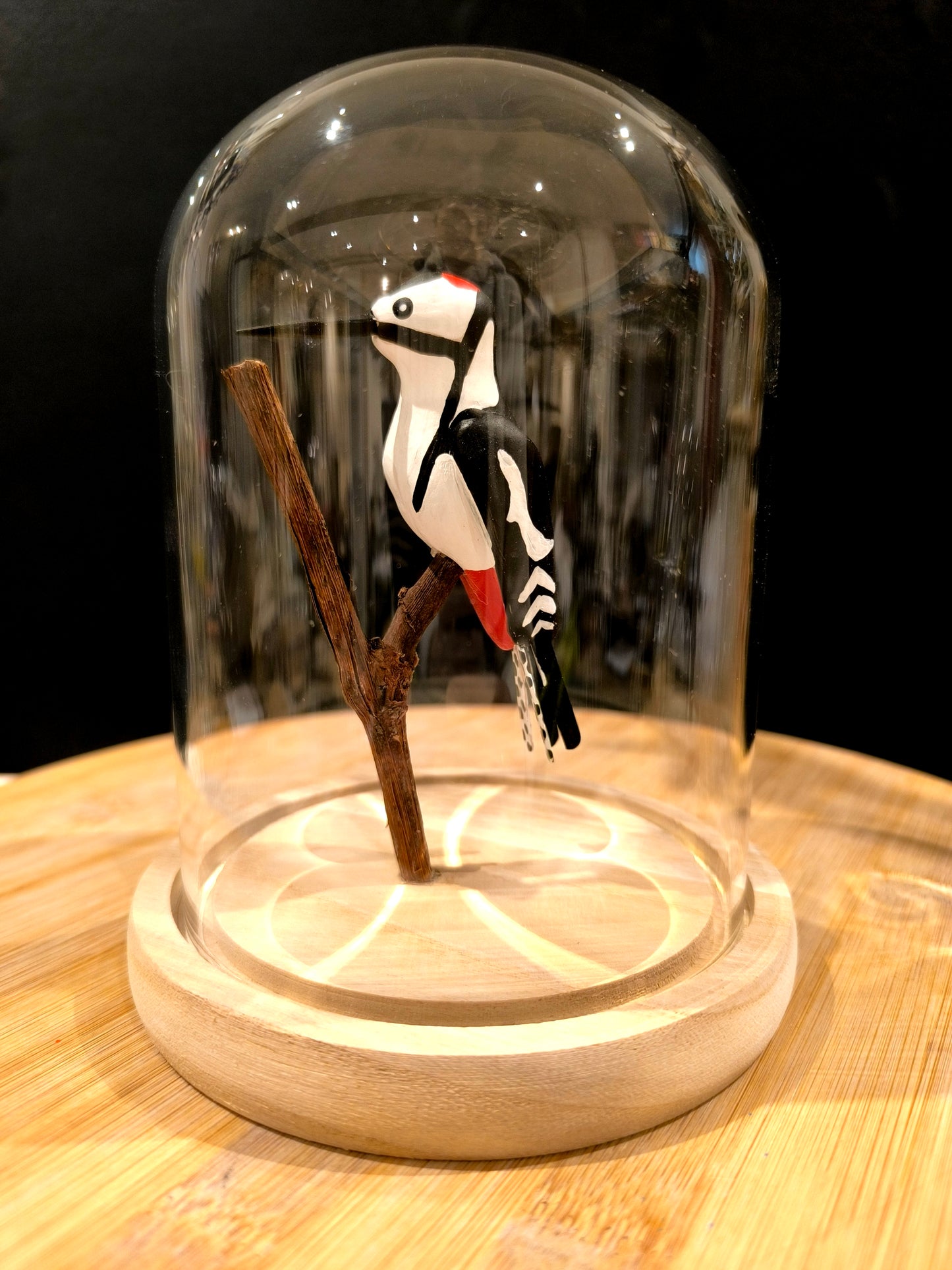 Pic épeiche sous cloche de verre façon cabinet de curiosité