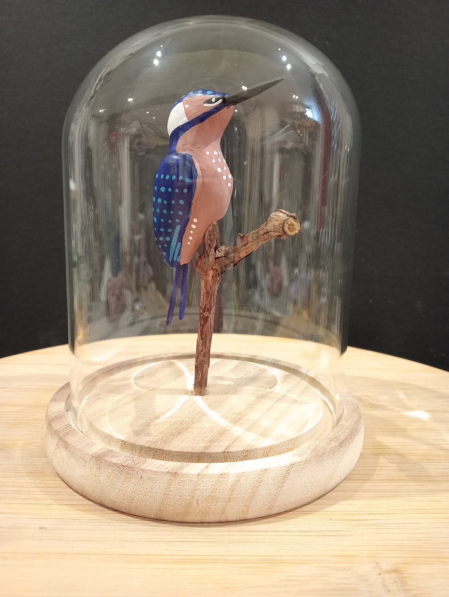 MARTIN PECHEUR sous cloche de verre, façon "cabinet de curiosité"