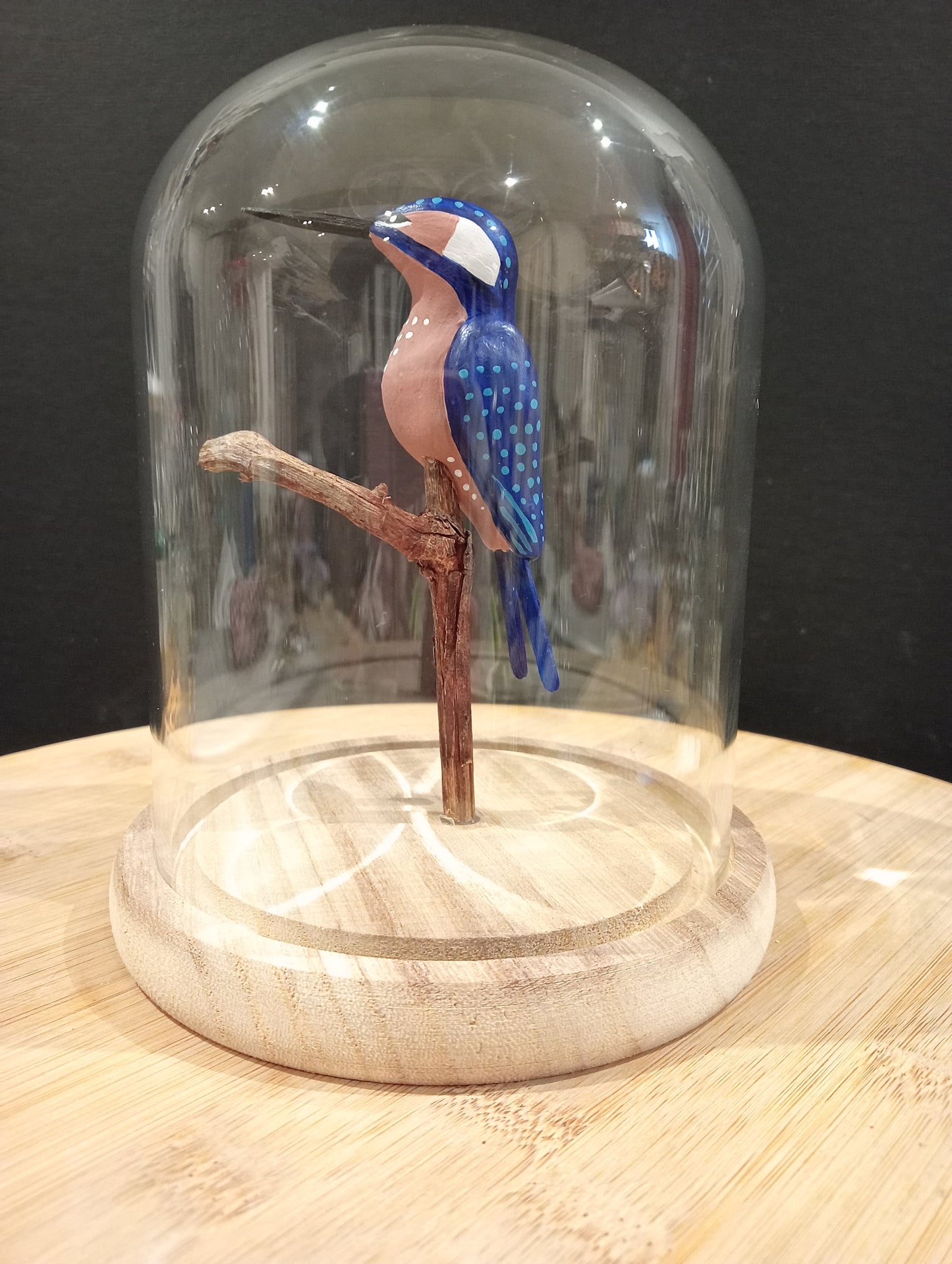 MARTIN PECHEUR sous cloche de verre, façon "cabinet de curiosité"