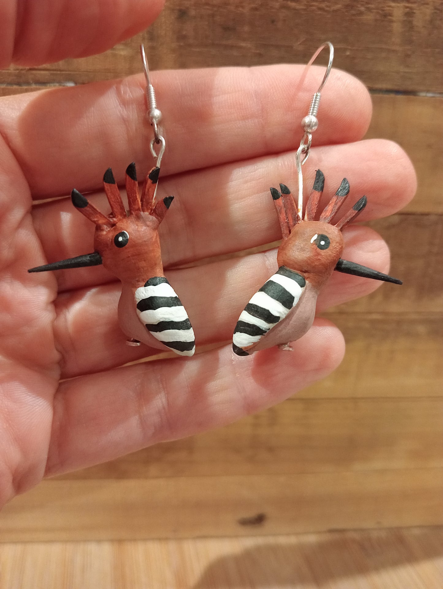 Huppes fasciées -Boucles d'oreilles