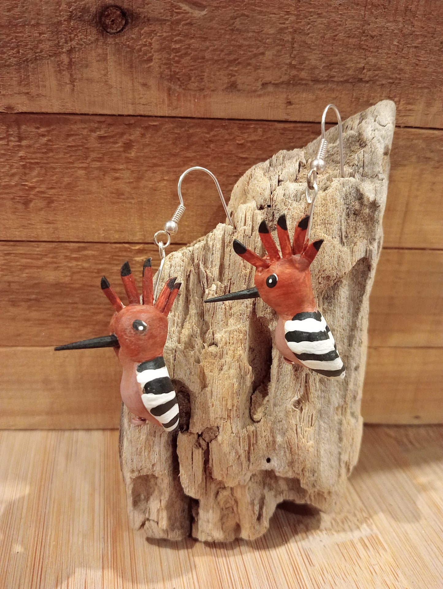 Huppes fasciées -Boucles d'oreilles