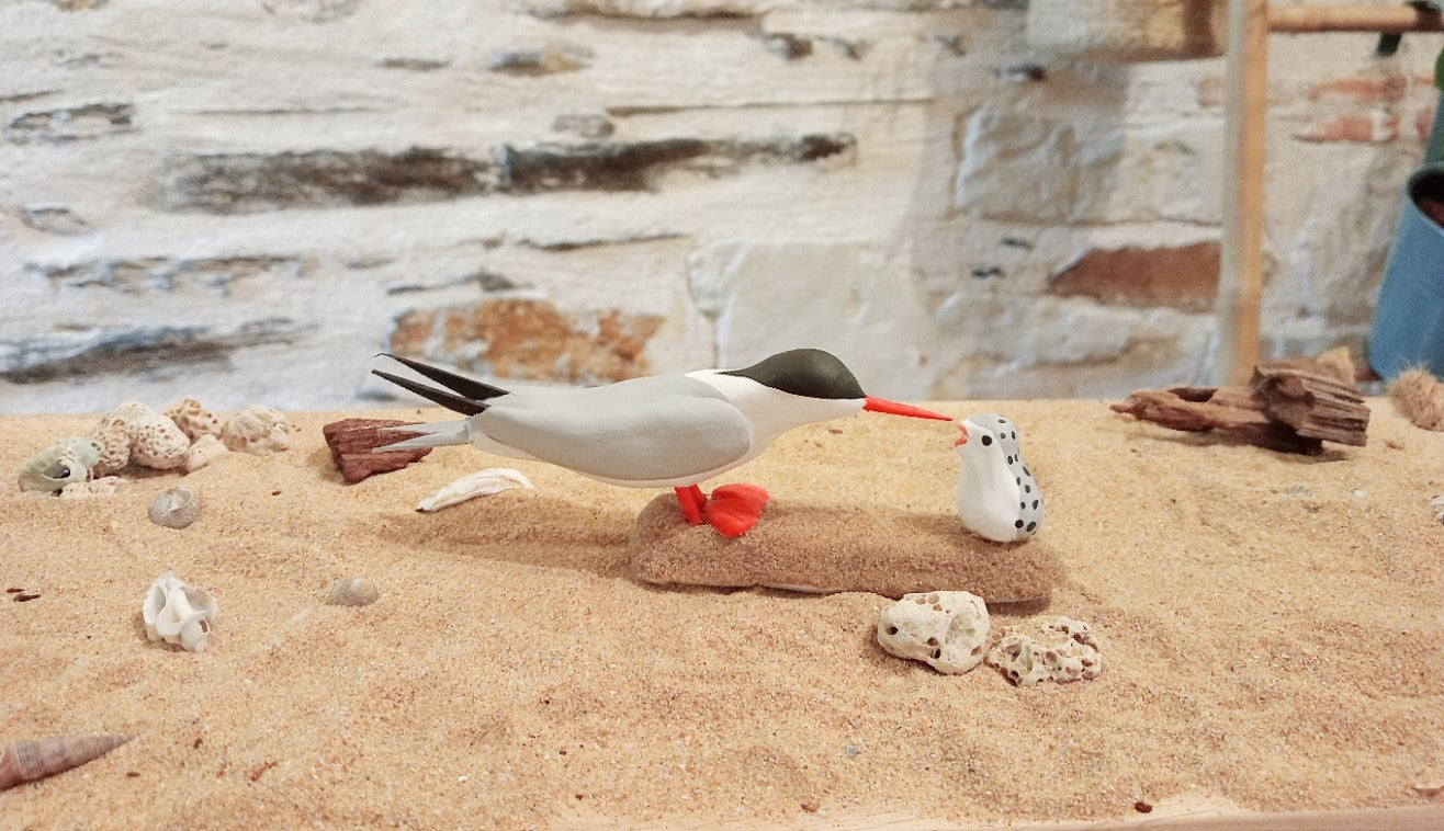 STERNE PIERREGARIN NOURRISSANT SON PETIT -FIGURINE