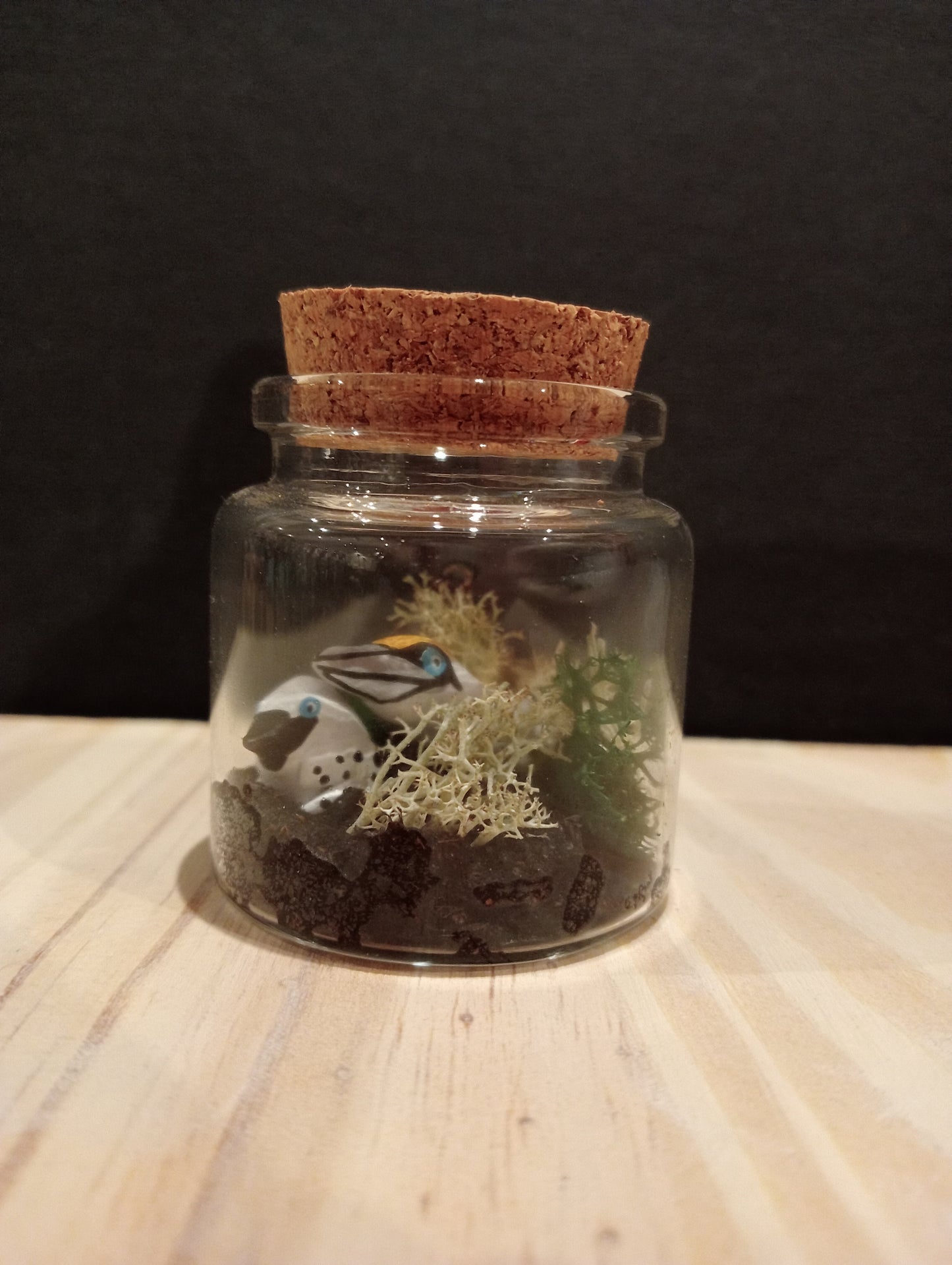 Fou de Bassan avec son petit- Miniature sous Flacon "Minuscule"