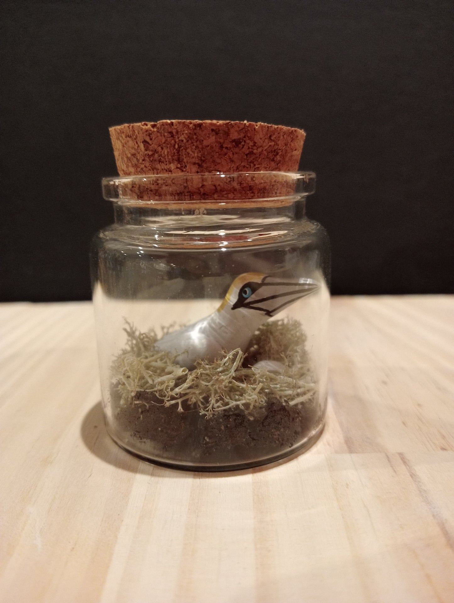 Northern Gannet with Egg - Miniature in a "Minuscule" Bottle