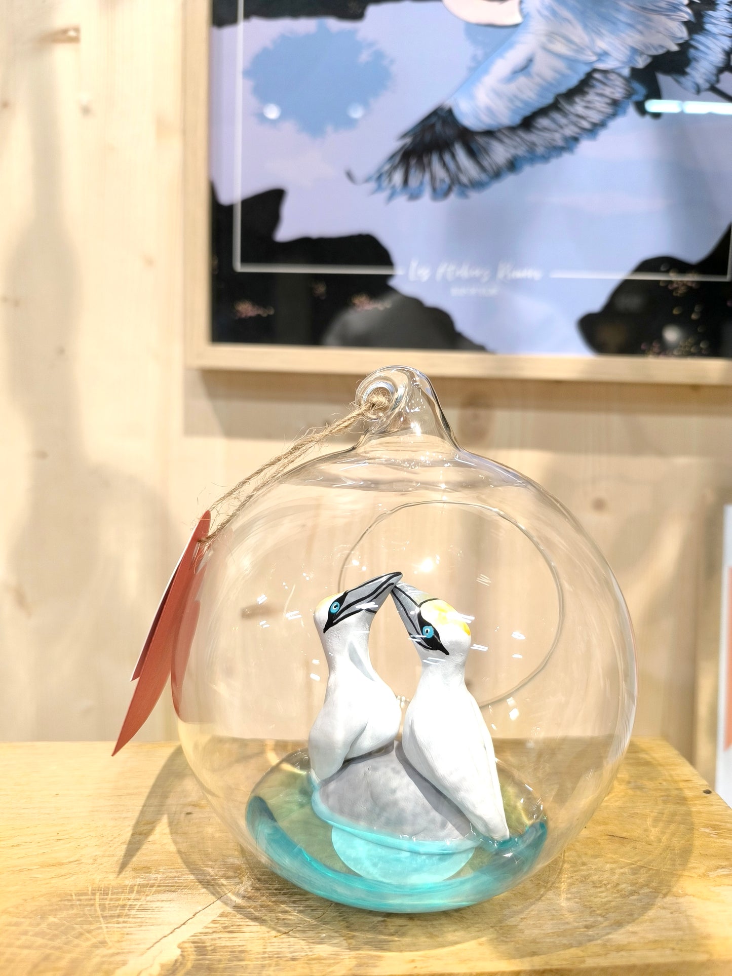 Northern Gannets in Courtship Displays - "Great Dream Bubble" Suspensions