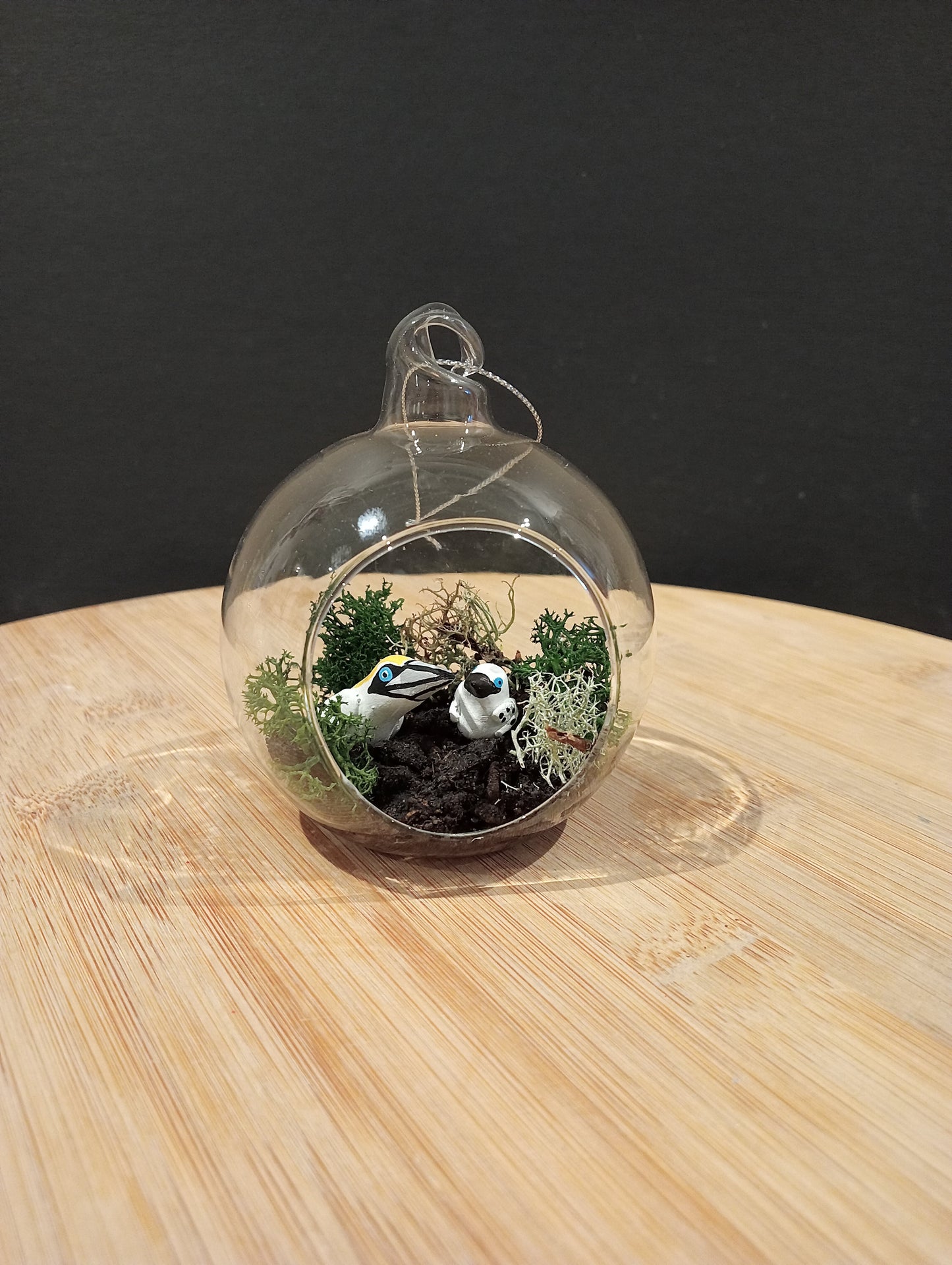Fou de bassan et son Petit deco