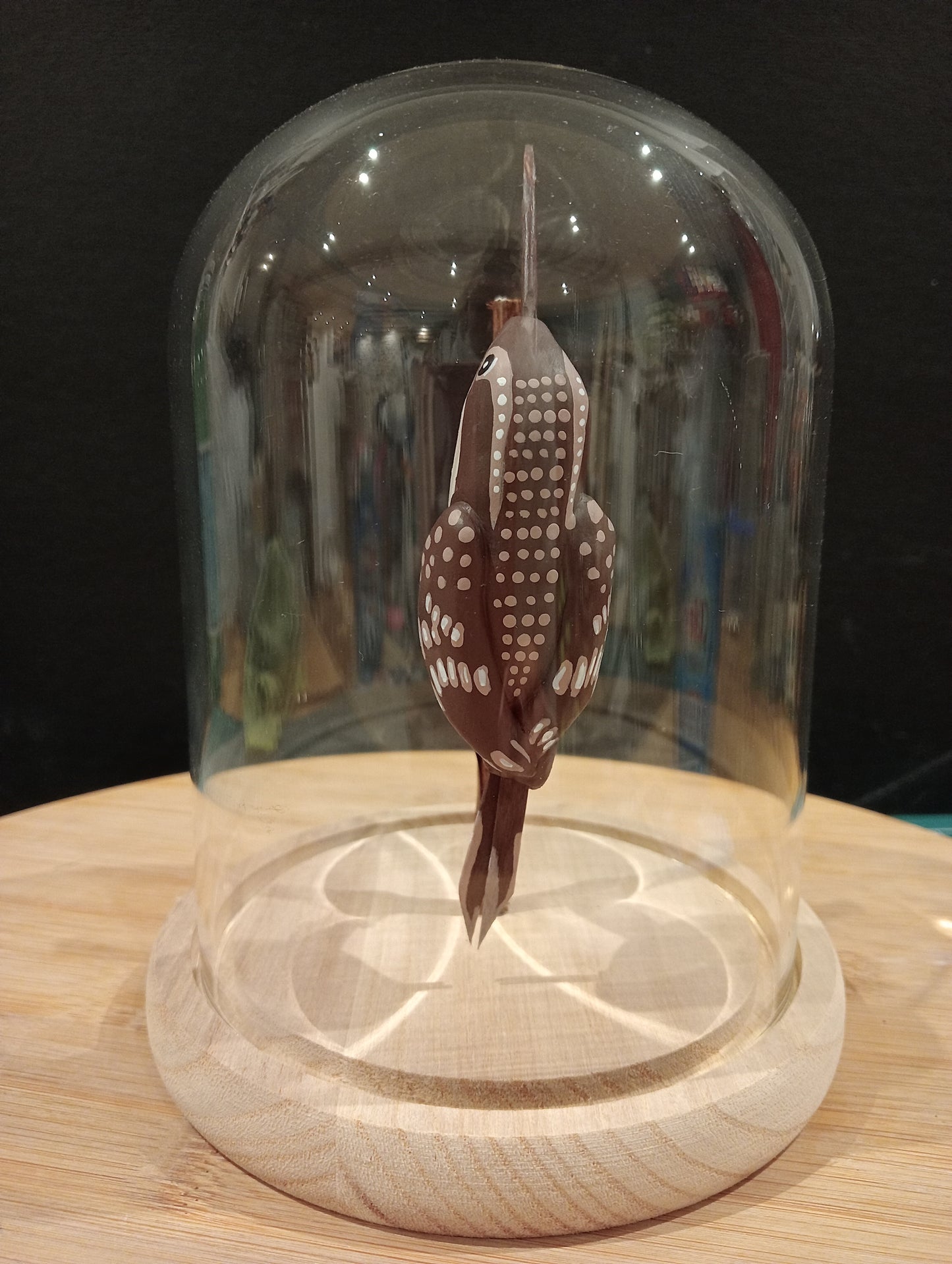 GARDEN CREEPER under a glass bell jar in the style of a "Cabinet of Curiosities"