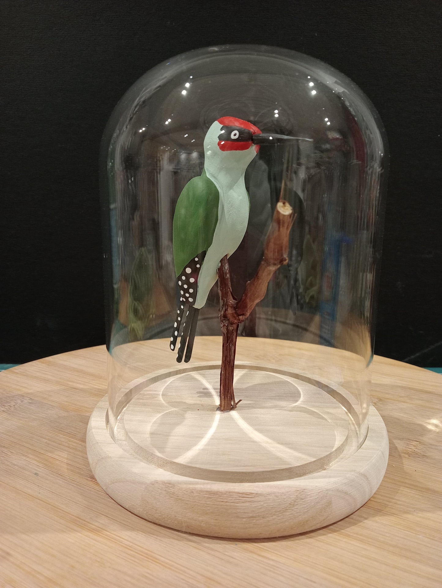 PIC VERT sous cloche de verre, façon "cabinet de curiosité"