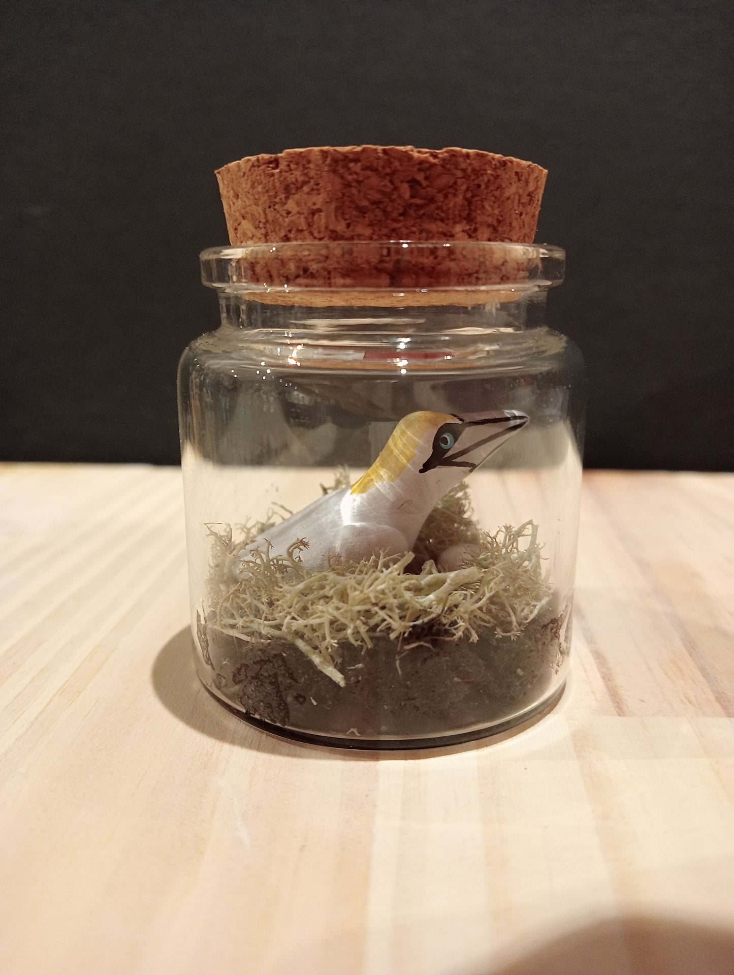 Northern Gannet with Egg - Miniature in a "Minuscule" Bottle
