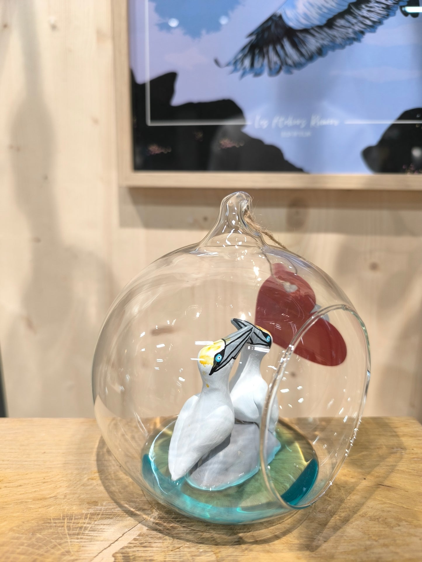 Northern Gannets in Courtship Displays - "Great Dream Bubble" Suspensions