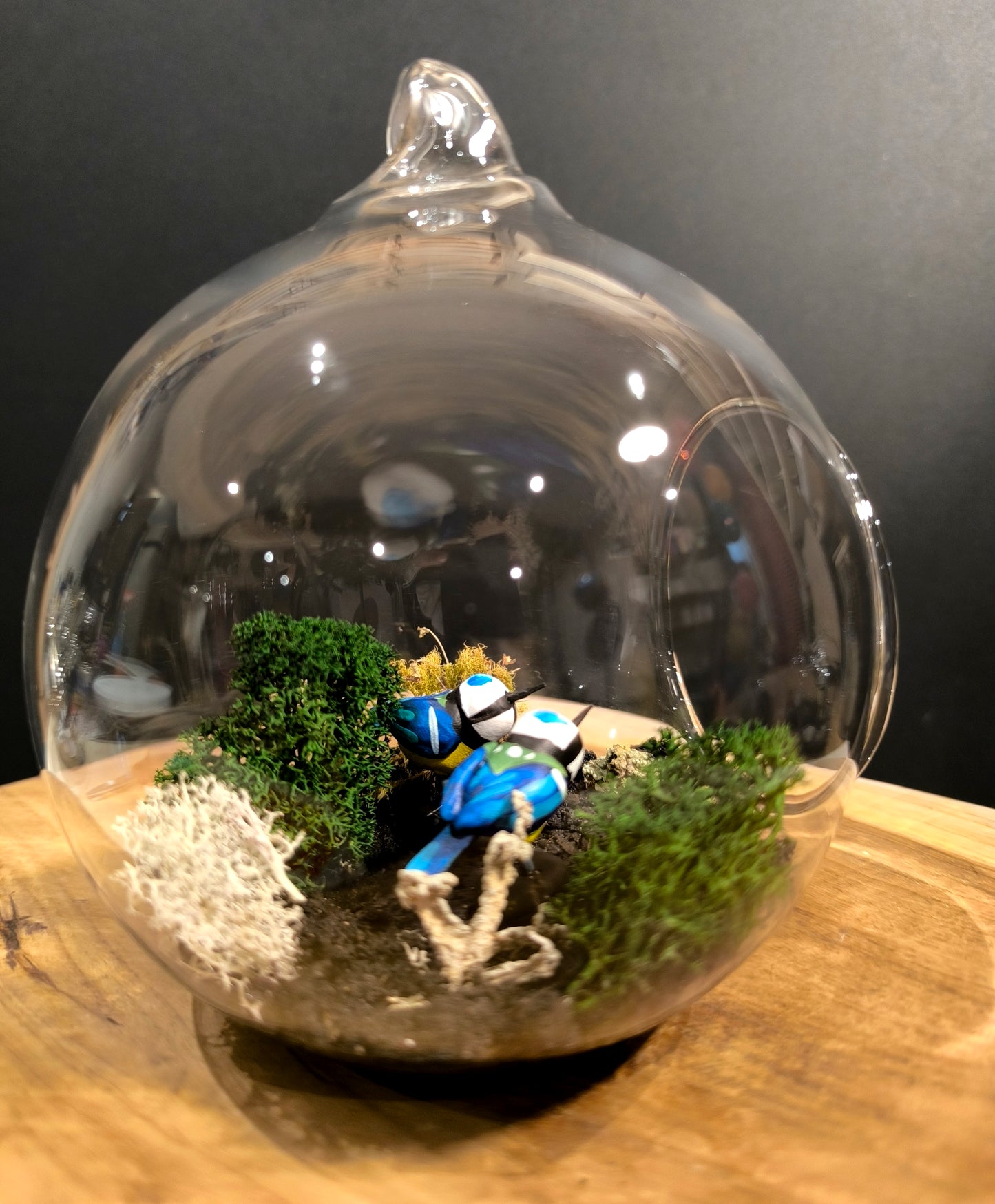 Couple Mésanges bleues- Suspensions "Grande Bulle de Rêve"