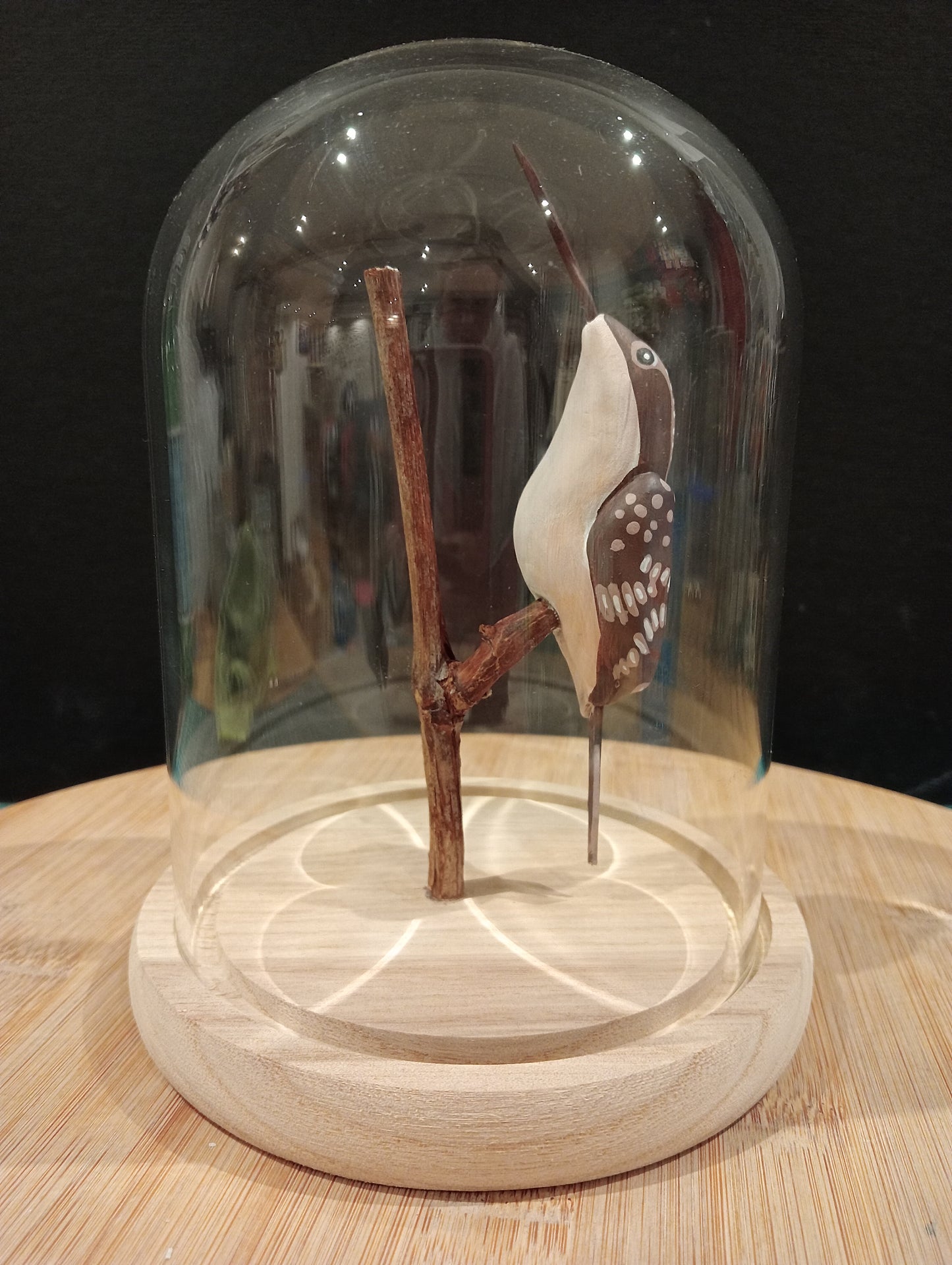 GARDEN CREEPER under a glass bell jar in the style of a "Cabinet of Curiosities"