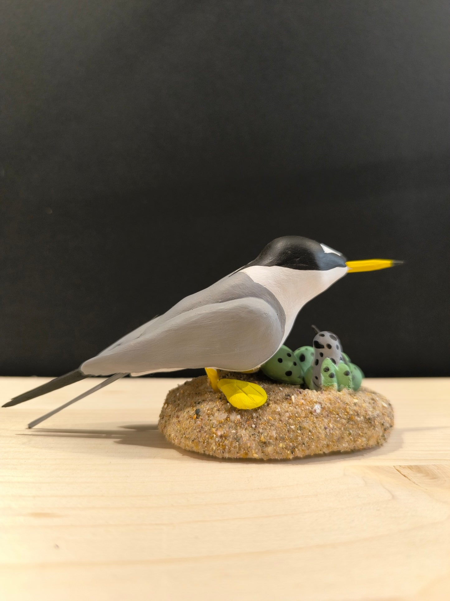 Little Tern on its nest -Figurine