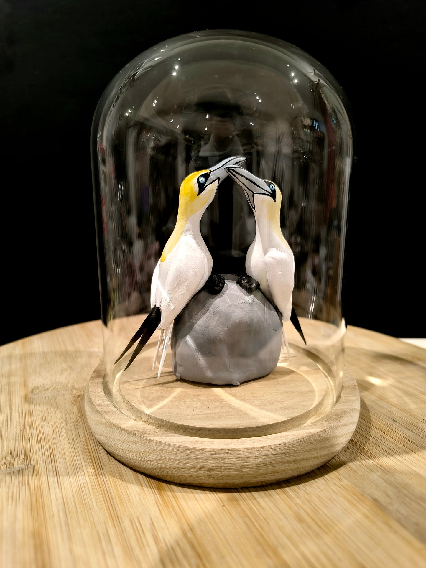Northern Gannets in a Pair under a Glass Dome in the Style of a "Cabinet of Curiosities"