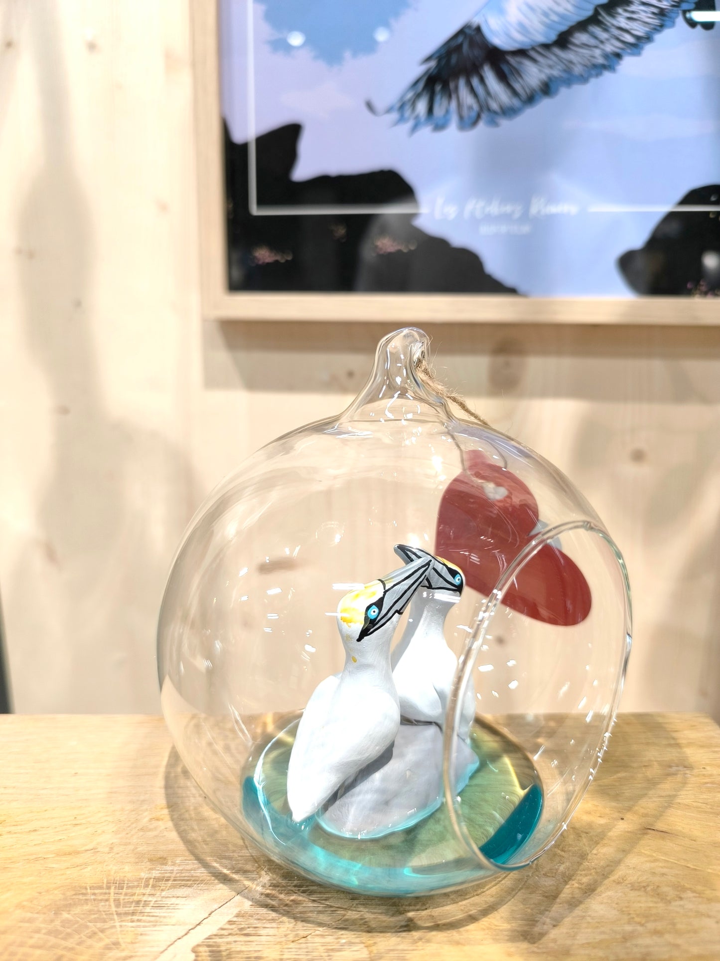 Northern Gannets in Courtship Displays - "Great Dream Bubble" Suspensions