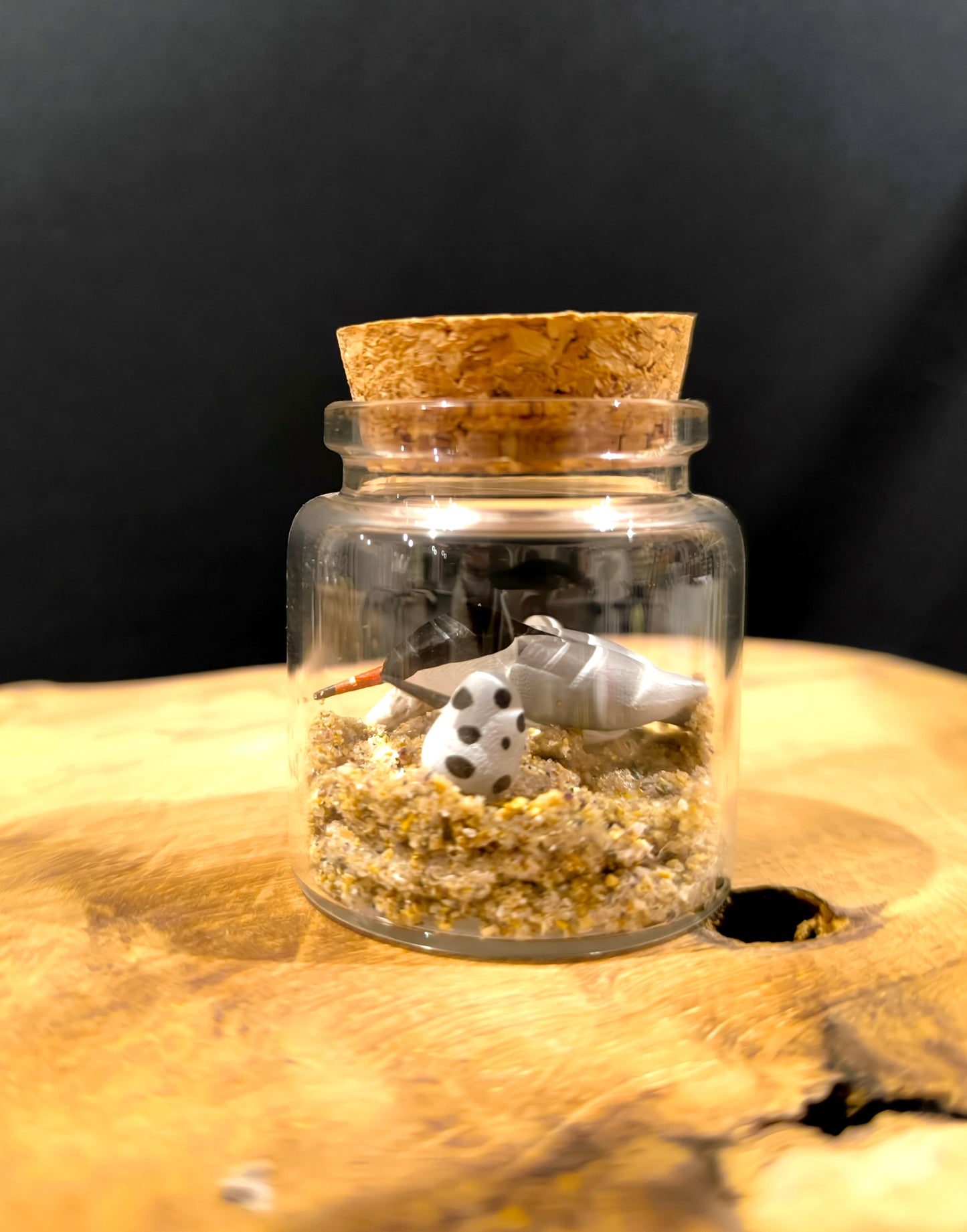 Sterne pierregarin et ses petits-Miniature sous flacon "Minuscule"