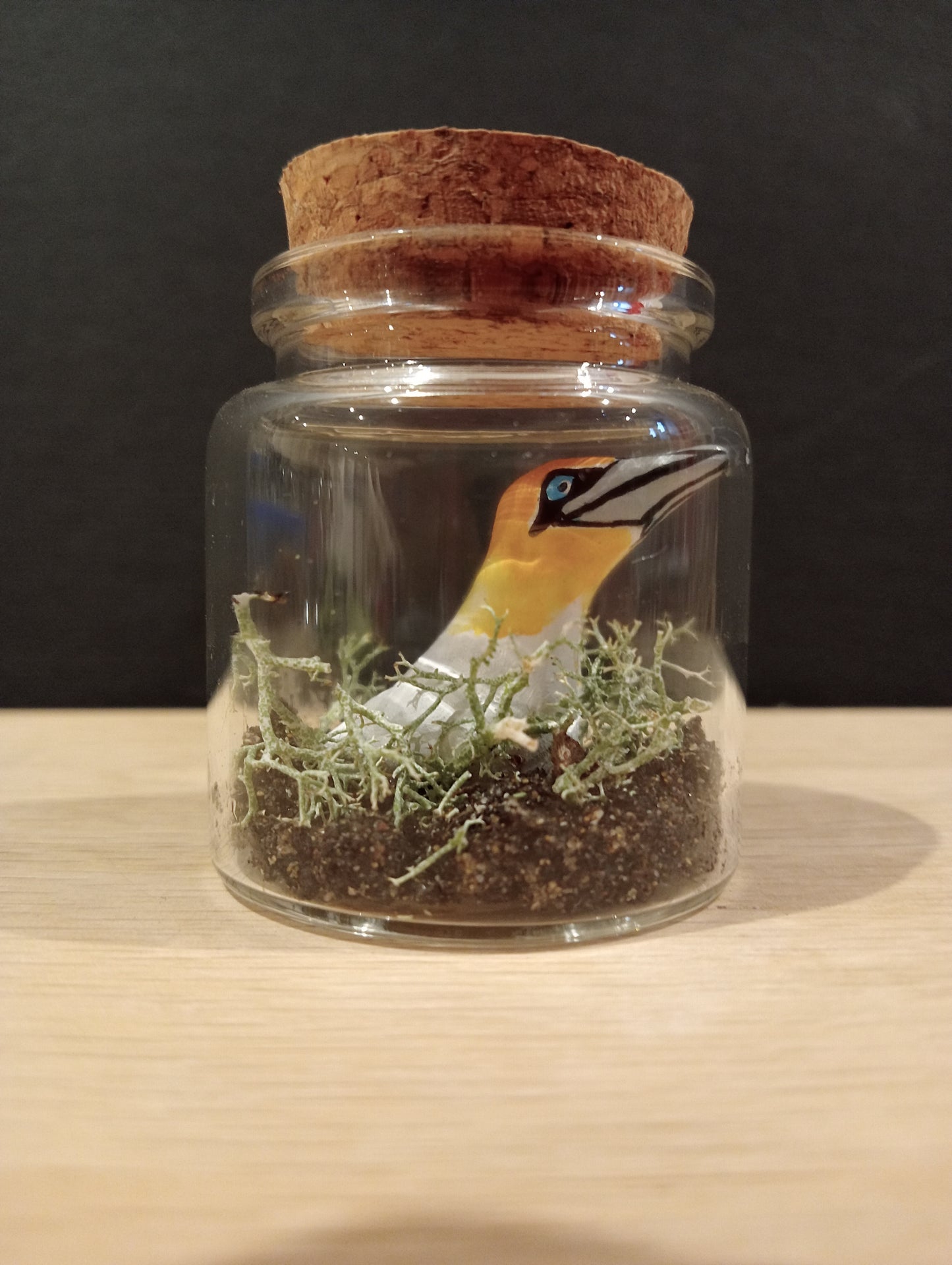 Fou de bassan avec son oeuf miniature oiseaux