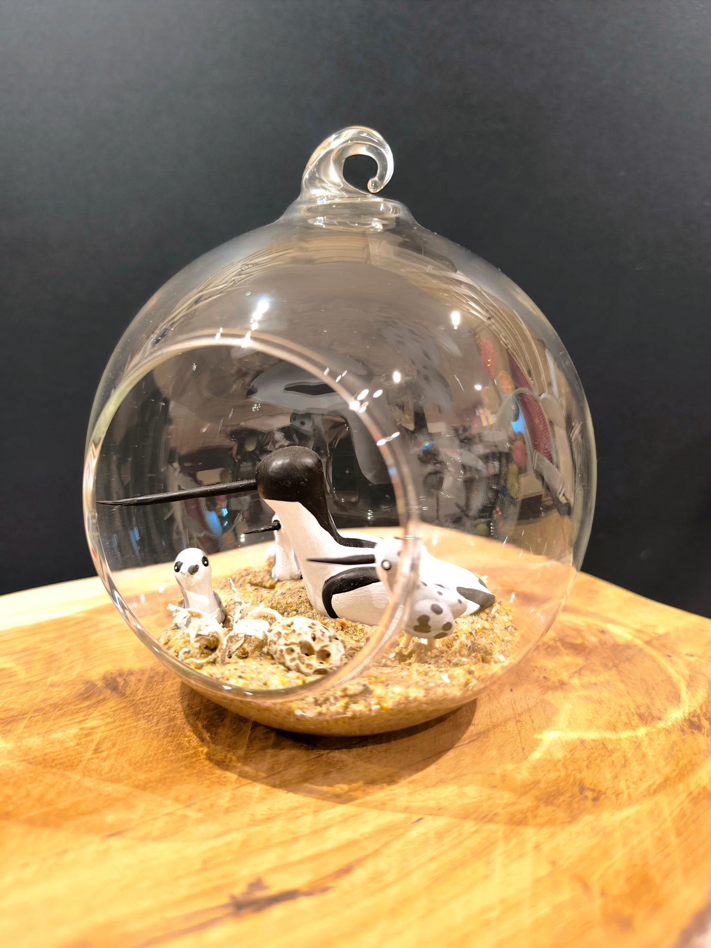 Avocette avec ses petits- Grande bulle de Rêve