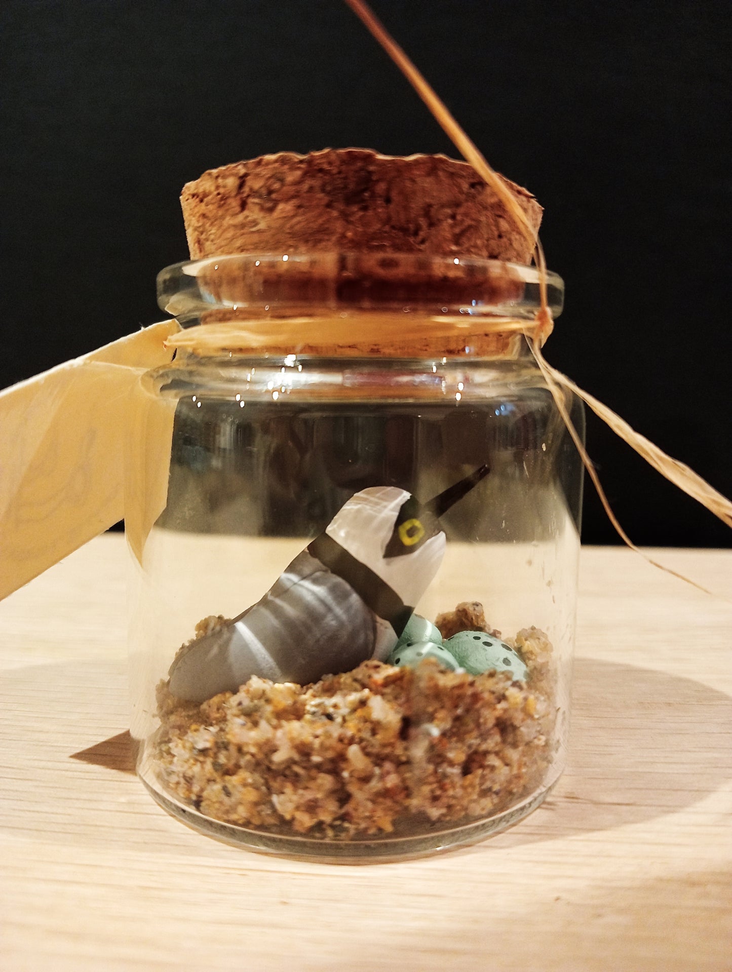 PETIT GRAVELOT SUR SON NID -Miniature sous flacon "Minuscule"