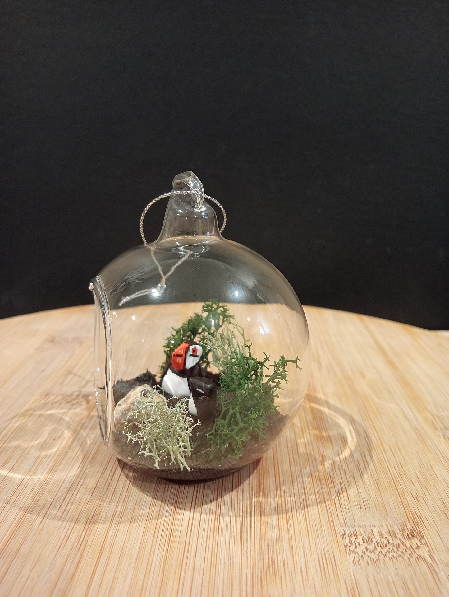 PUFFIN WITH ITS BABY - "Little Dream Bubble" Pendant Light