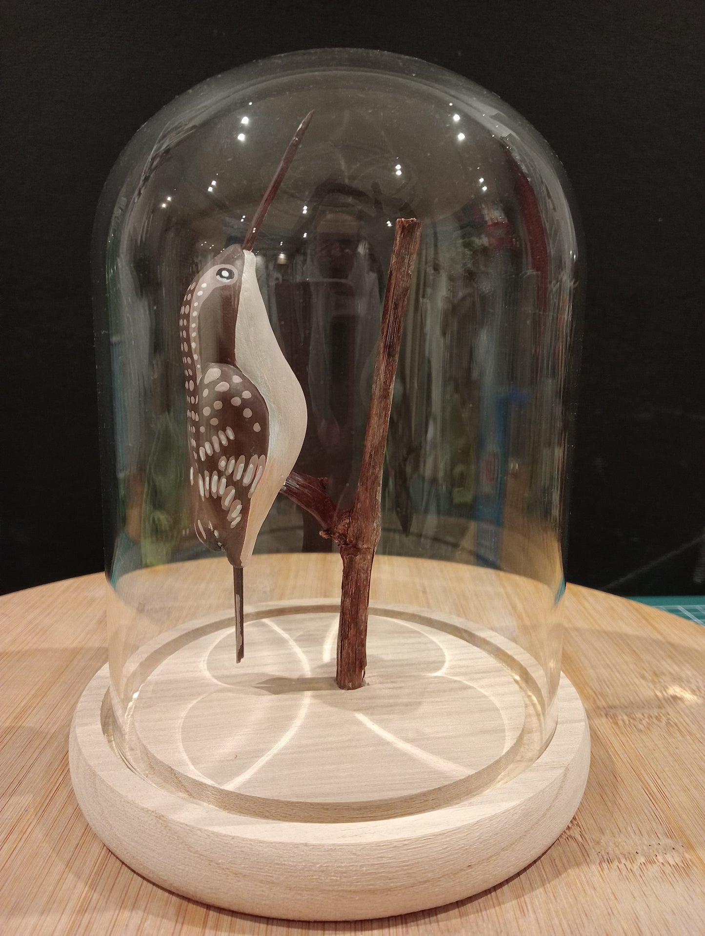 Grimpereau des jardins sous cloche de verre façon cabinet de curiosité
