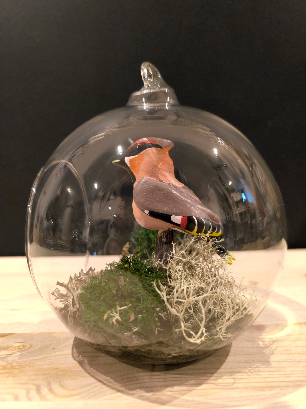 JASEUR BOREAL sur sa branche -grande bulle de rêve