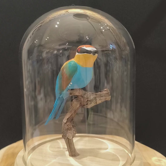 Sculpture Guêpier d'europe sous cloche de verre. Modelé et peint à la main à Angers, France.