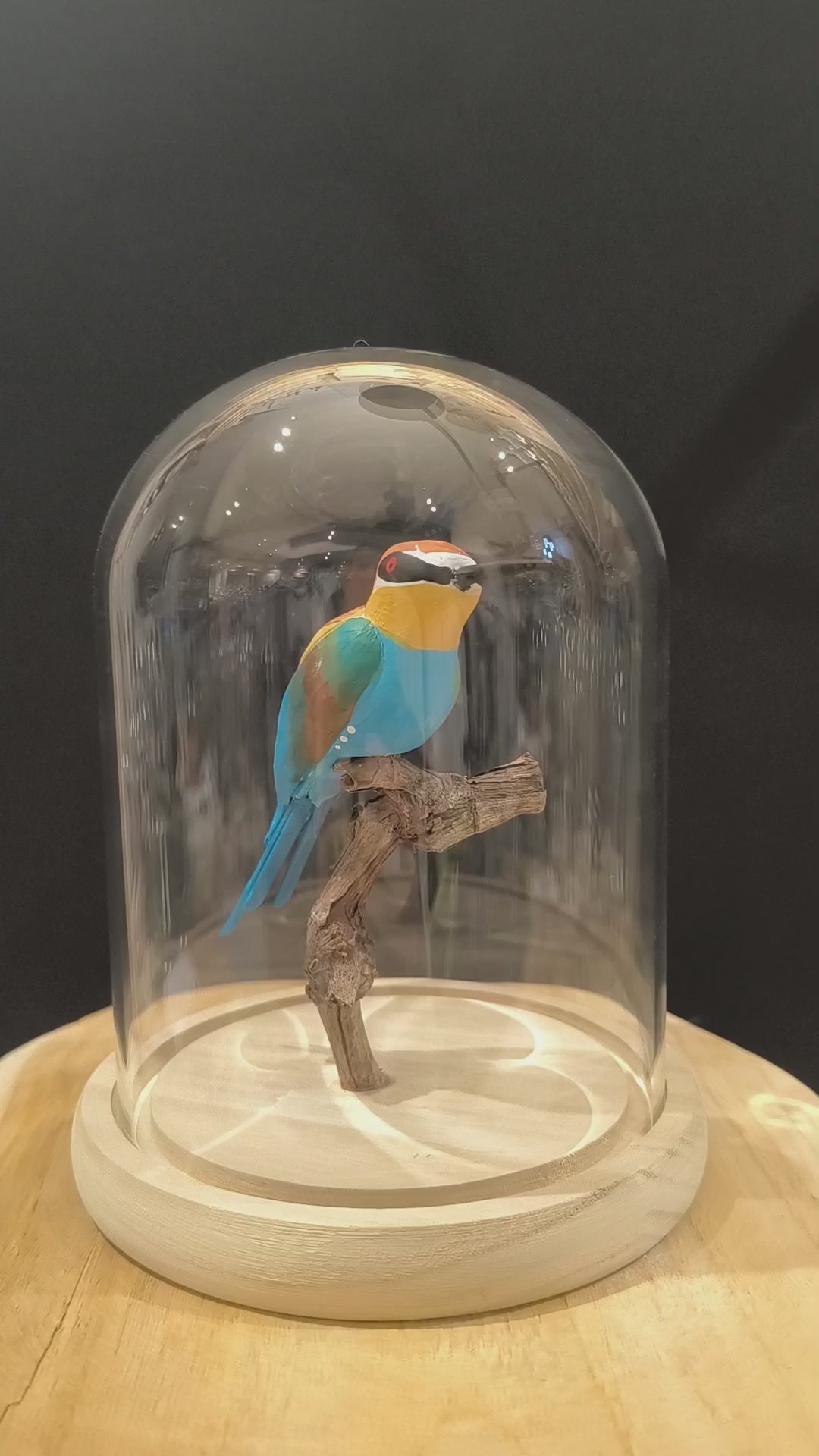 Sculpture Guêpier d'europe sous cloche de verre. Modelé et peint à la main à Angers, France.