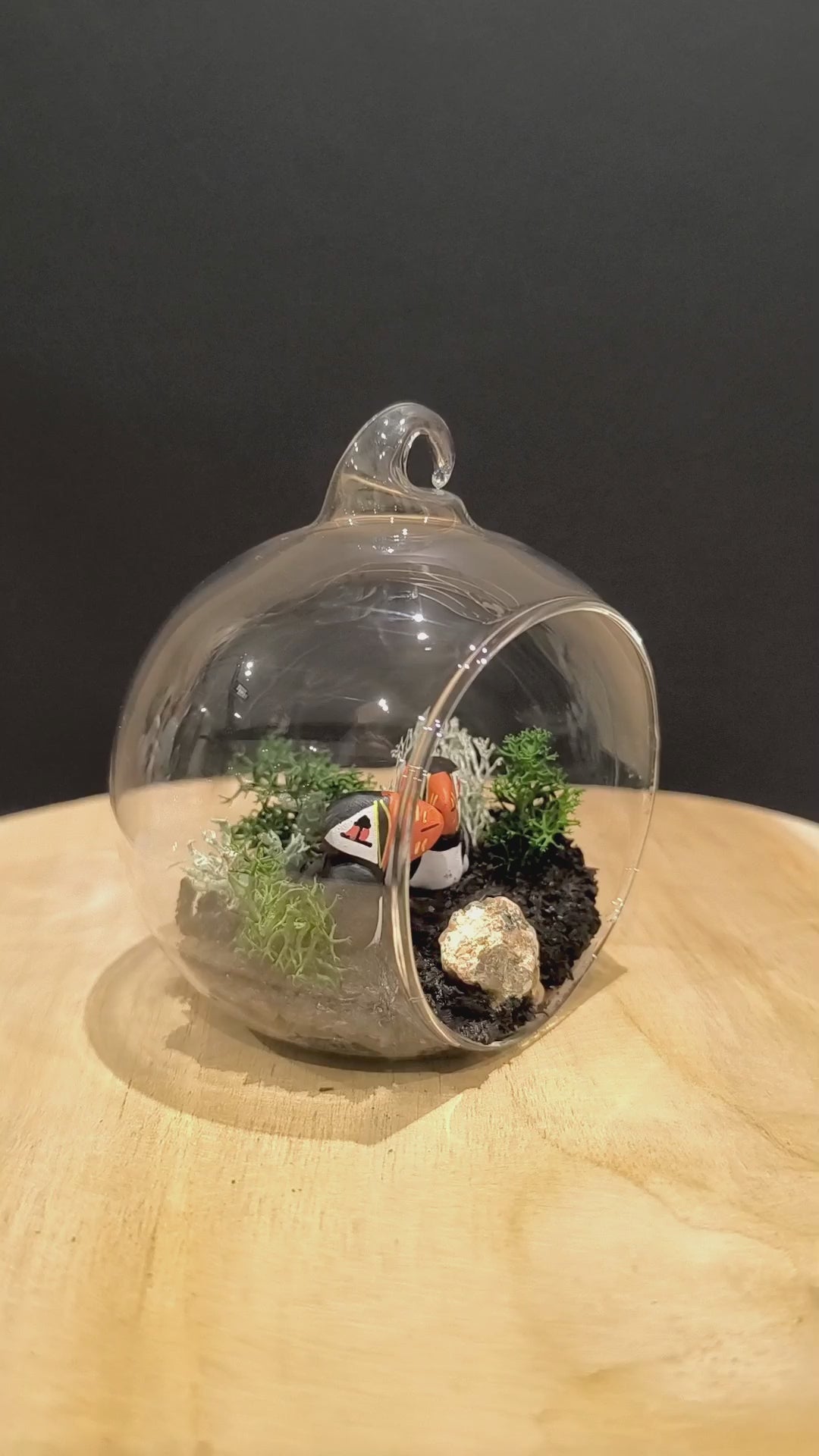 Figurines sculptées Macareux moines  en parade  nuptiale dans bulle de verre. Modelées à la main en argile (pas de moulage) et peintes à la main. Sculpté dans mon atelier à Angers, France