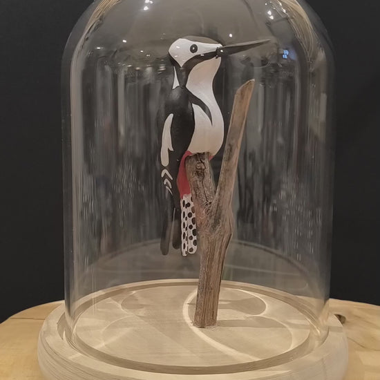 Sculpture Pic épeiche sous cloche de verre. Argile modelée et peinte à la main à Angers, France.