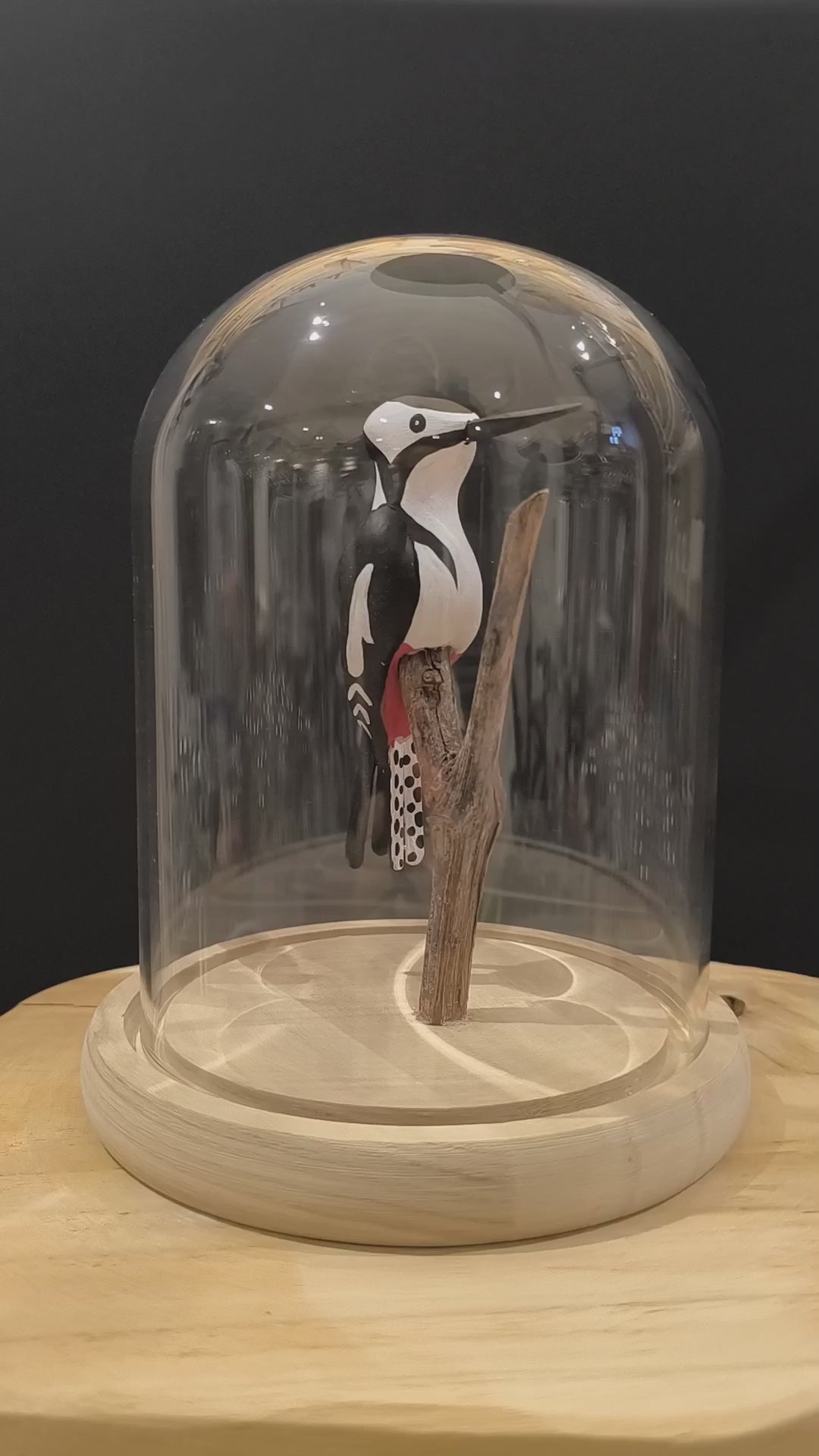 Sculpture Pic épeiche sous cloche de verre. Argile modelée et peinte à la main à Angers, France.