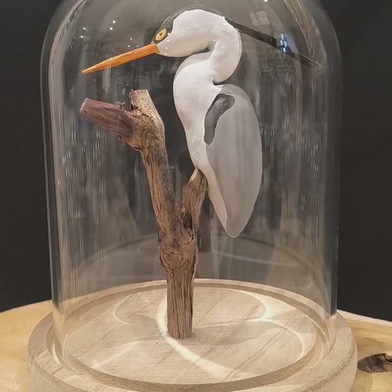 Sculpture Héron cendré sous cloche de verre. Argile modelée et peinte à la main à Angers, France