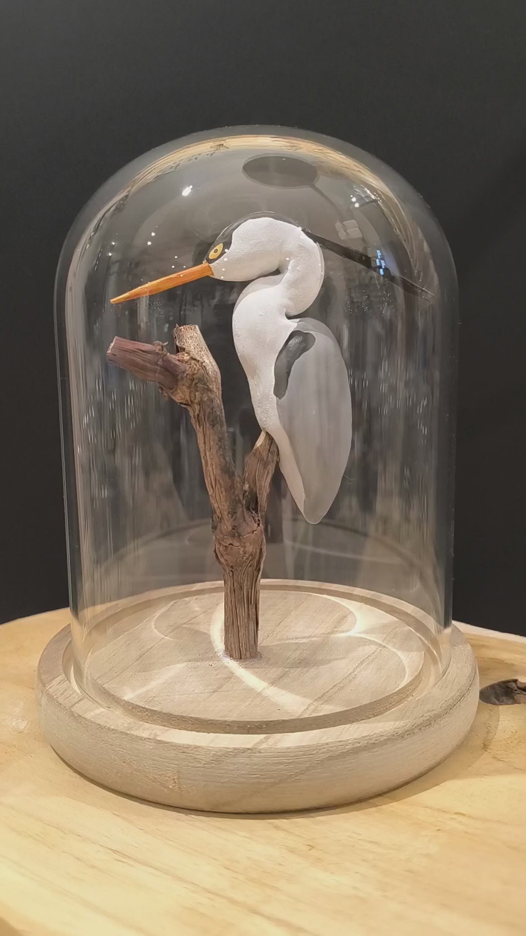 Sculpture Héron cendré sous cloche de verre. Argile modelée et peinte à la main à Angers, France