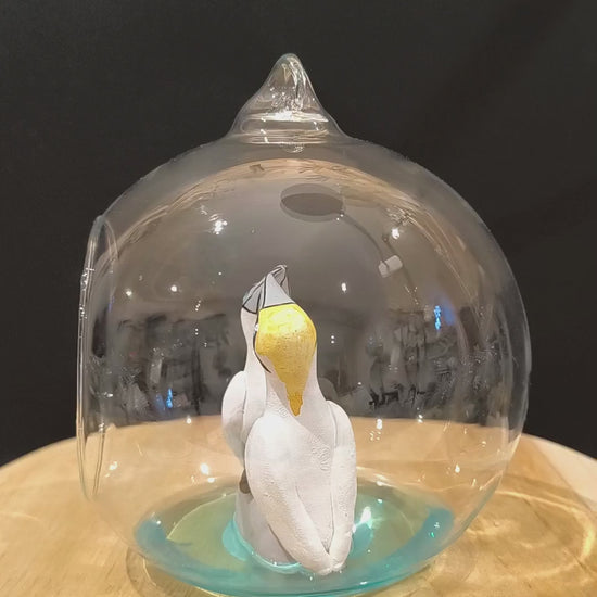 Figurines sculptées Fou de bassan en parade  nuptiale dans bulle de verre. Modelées à la main en argile (pas de moulage) et peintes à la main. Sculpté dans mon atelier à Angers, France