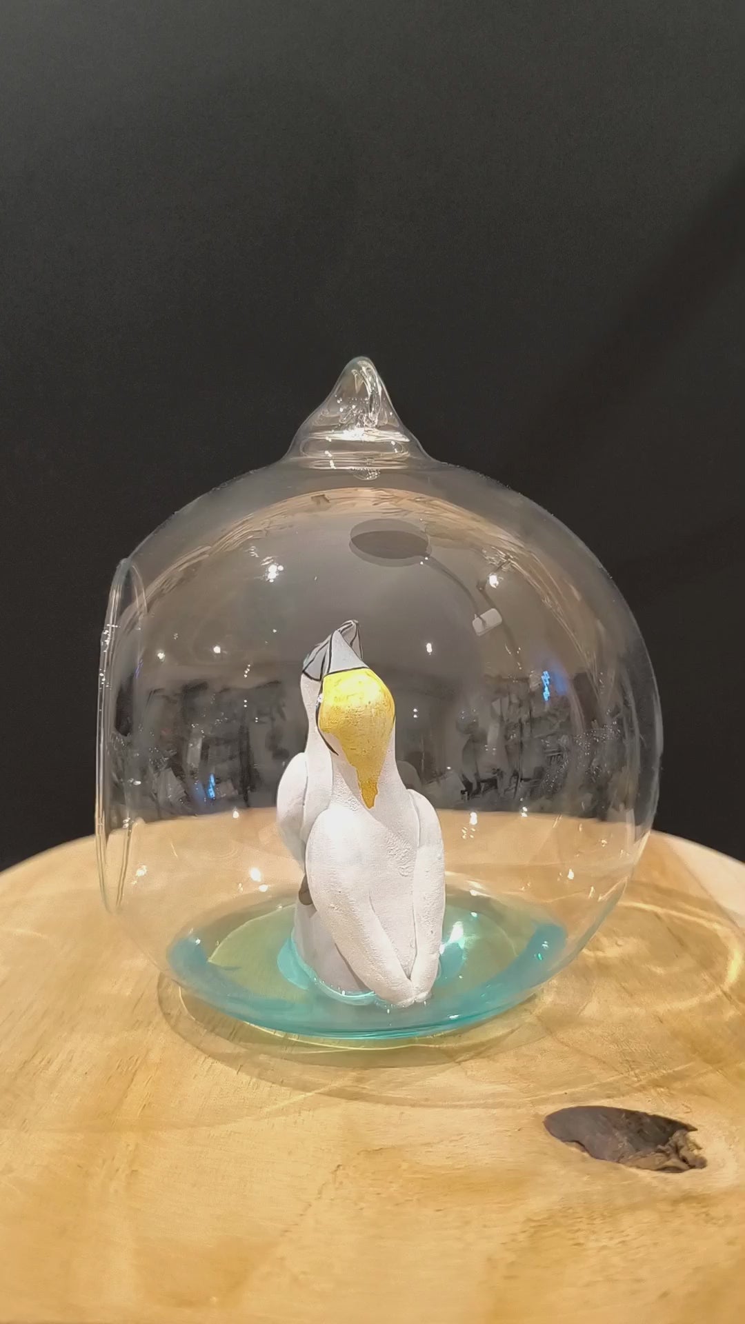 Figurines sculptées Fou de bassan en parade  nuptiale dans bulle de verre. Modelées à la main en argile (pas de moulage) et peintes à la main. Sculpté dans mon atelier à Angers, France