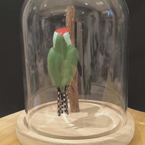 Sculpture Pic vert sous cloche de verre. Argile modelée et peinte à la main à Angers, France.